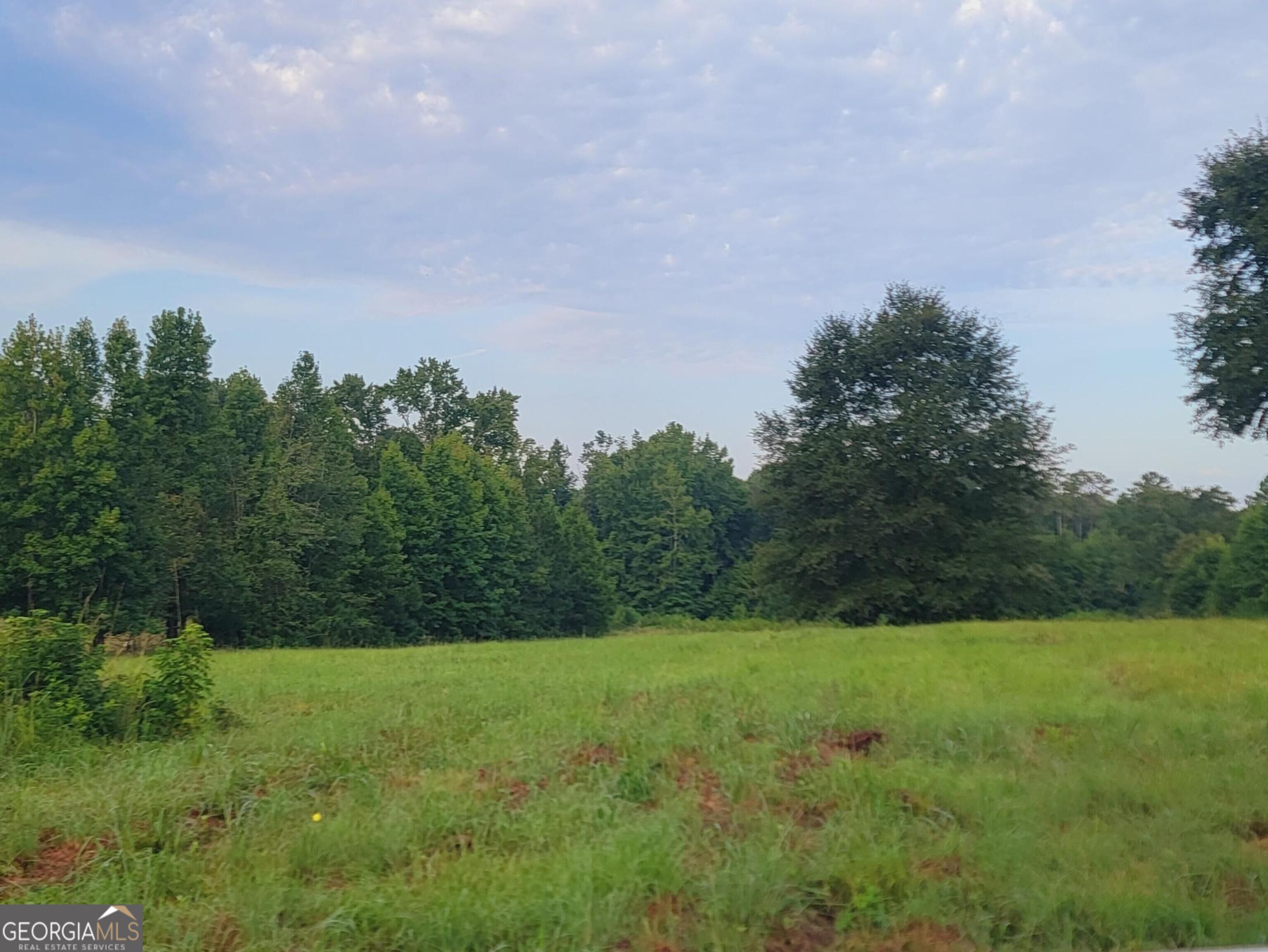 0 Bankston Road Property Photo 1