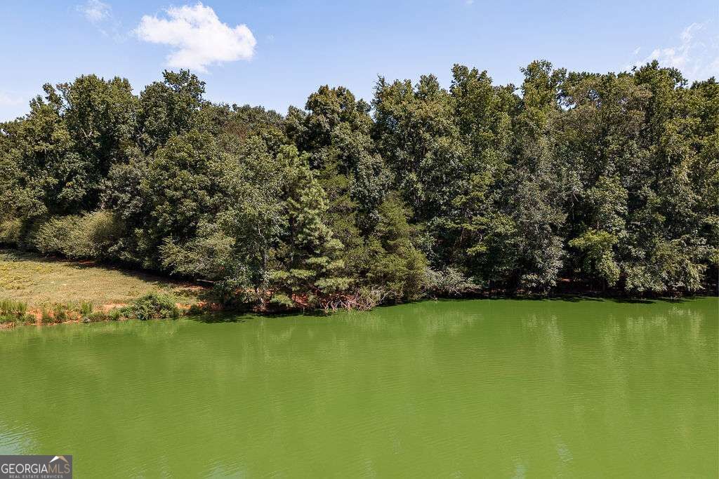 1691 Plantation Road Property Photo 44