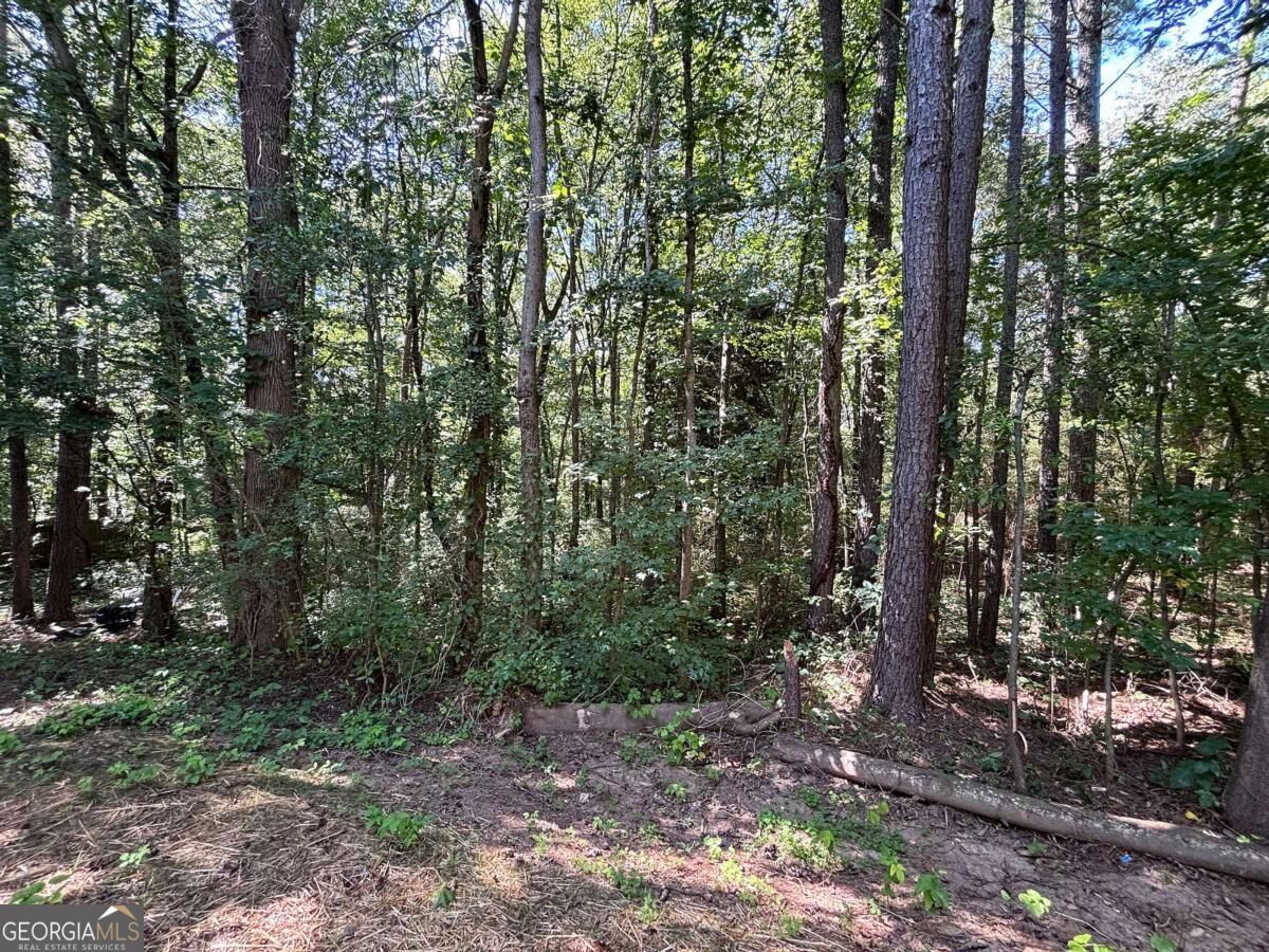 27 Carrington Trace Ne Property Photo 45