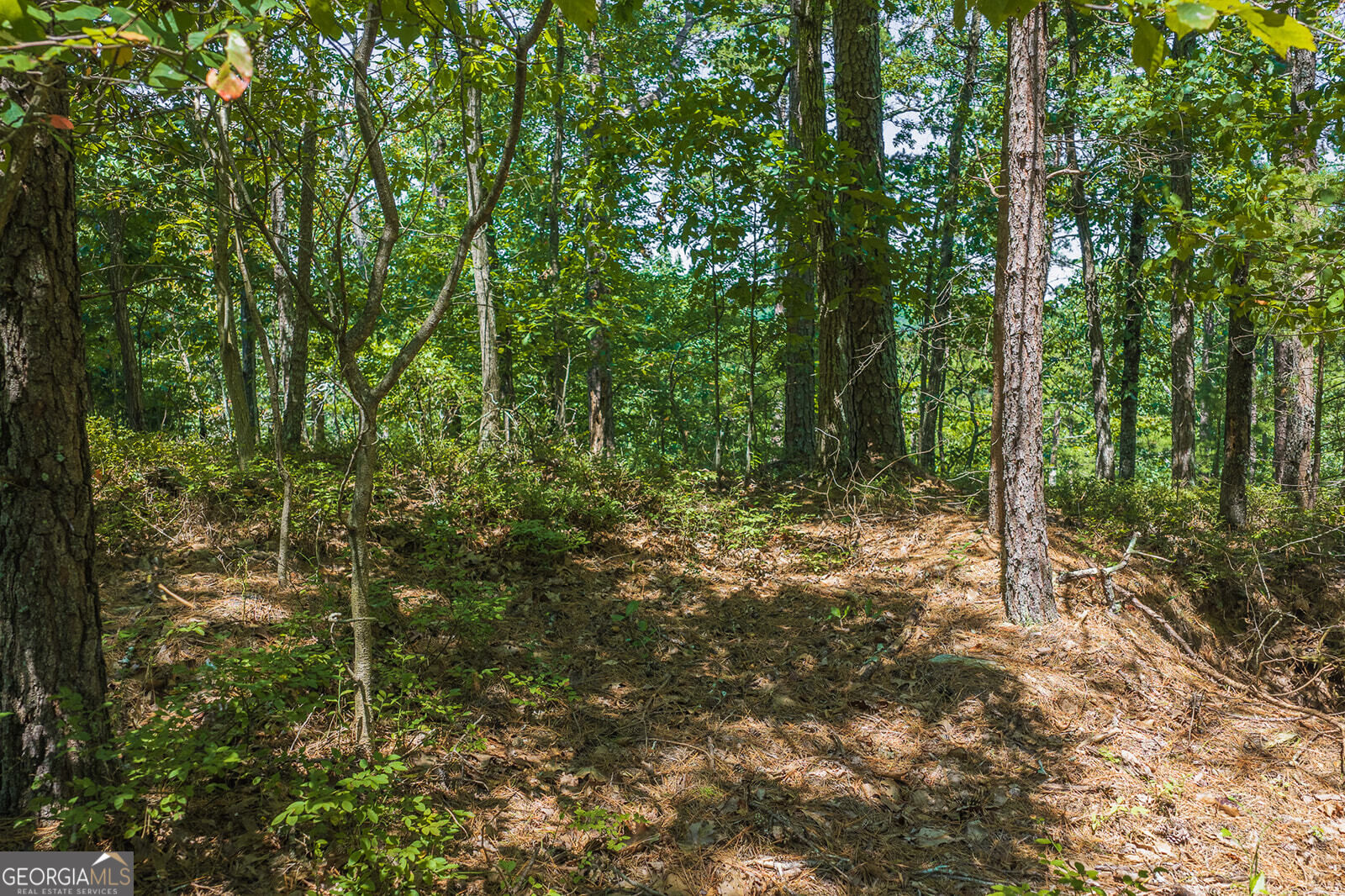 694-695 Railey Ridge # 695 Property Photo 6