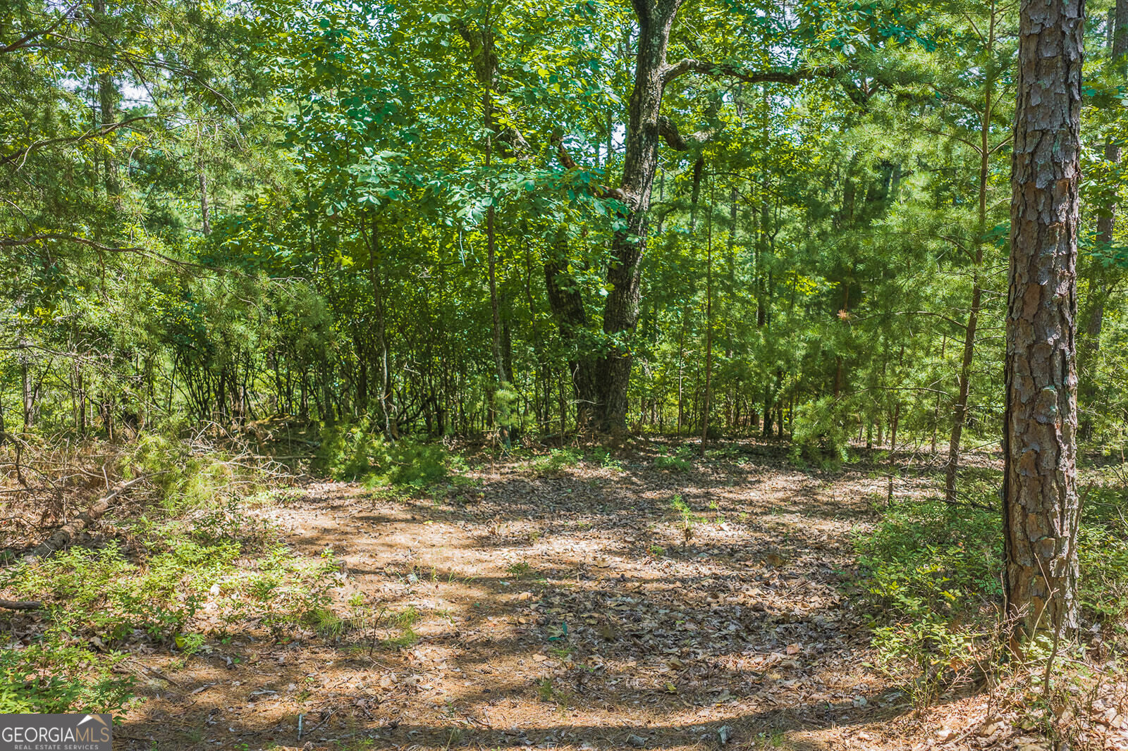694-695 Railey Ridge # 695 Property Photo 7