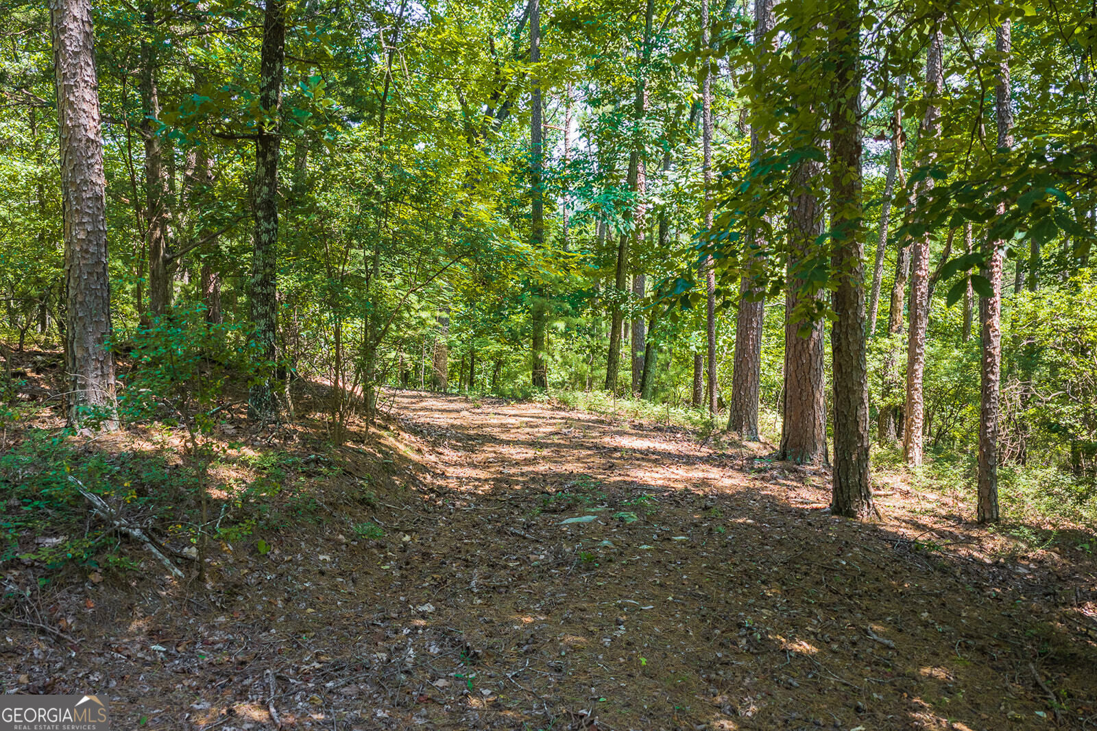 694-695 Railey Ridge # 695 Property Photo 10