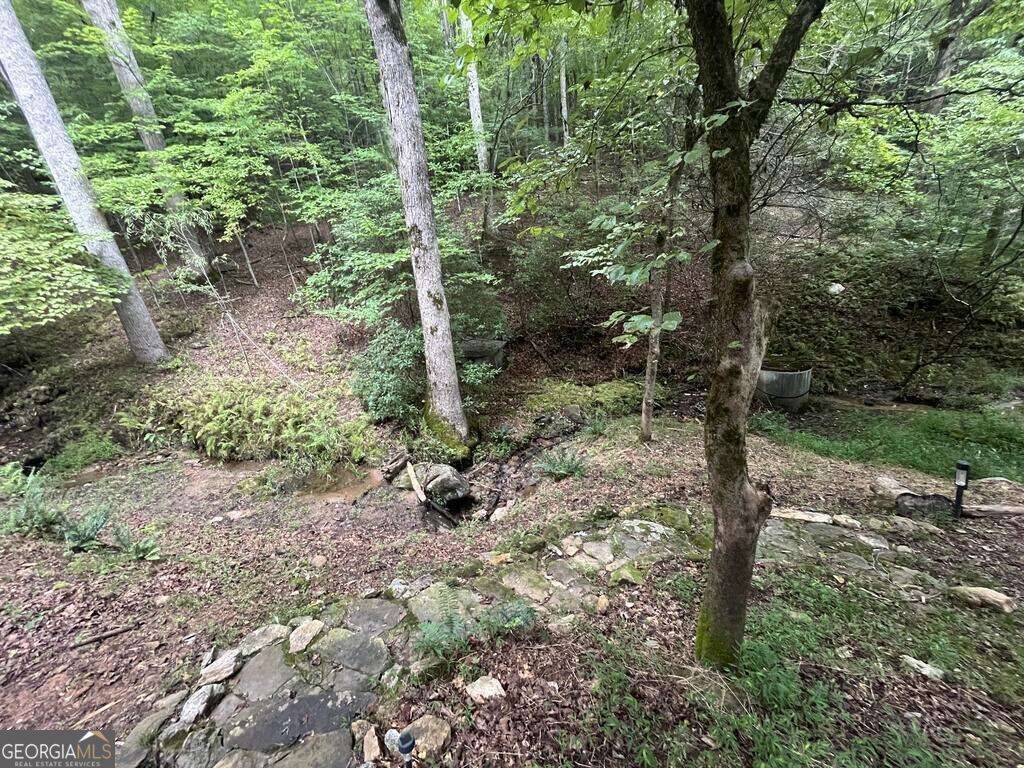 1543 Tipton Springs Road Property Photo 21