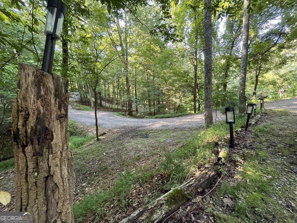 1543 Tipton Springs Road Property Photo 24