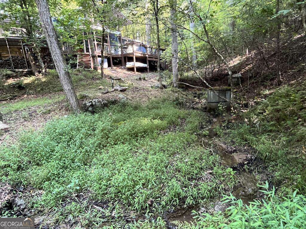 1543 Tipton Springs Road Property Photo 33