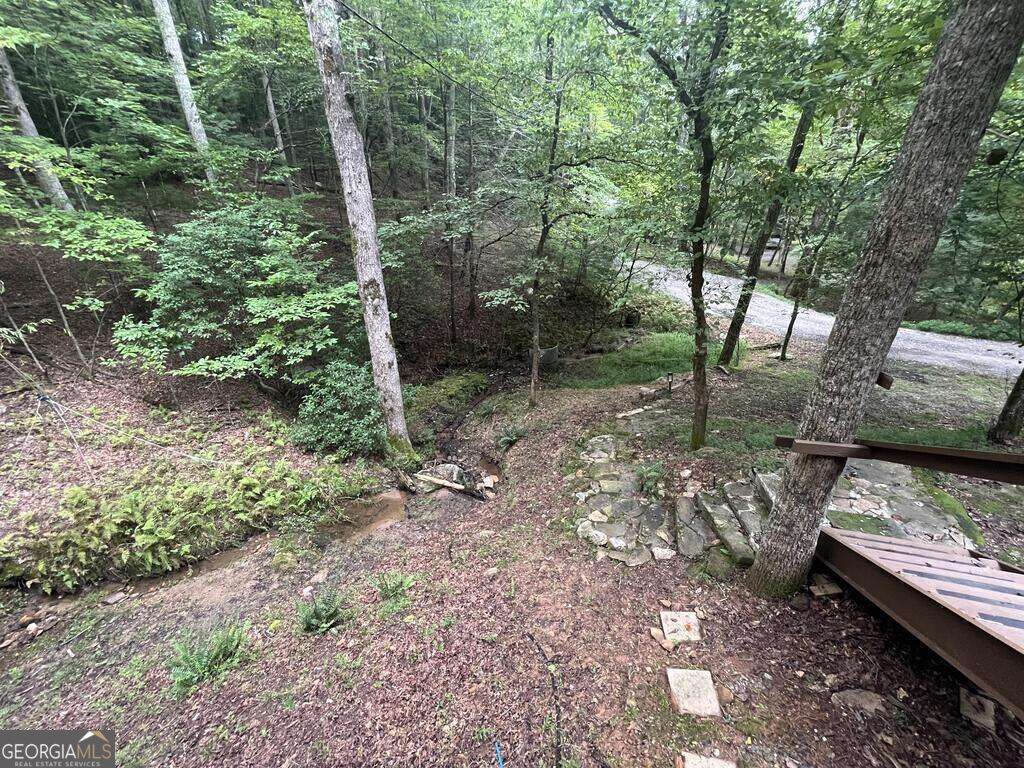 1543 Tipton Springs Road Property Photo 34