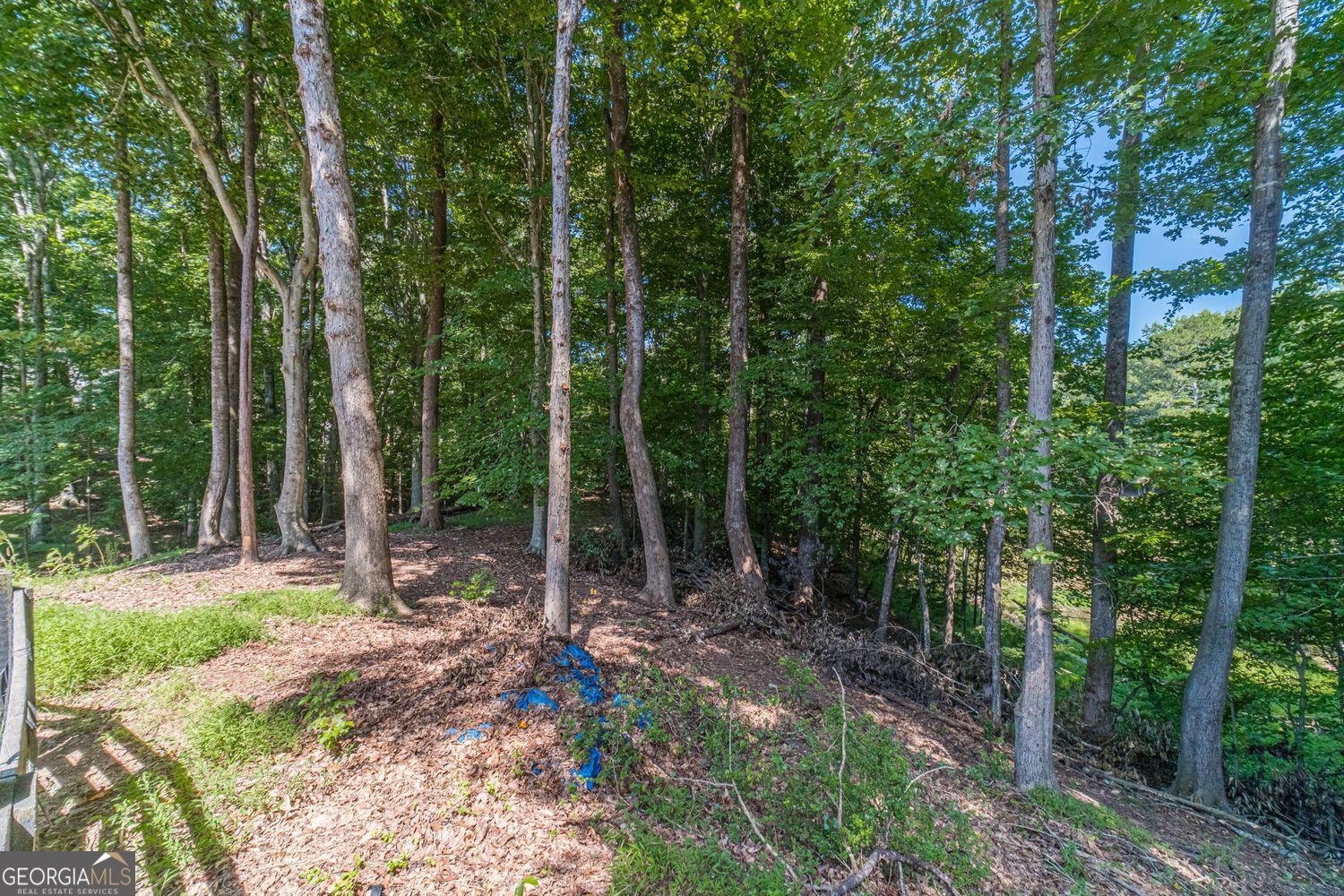 9240 Holly Wood Drive Property Photo 74