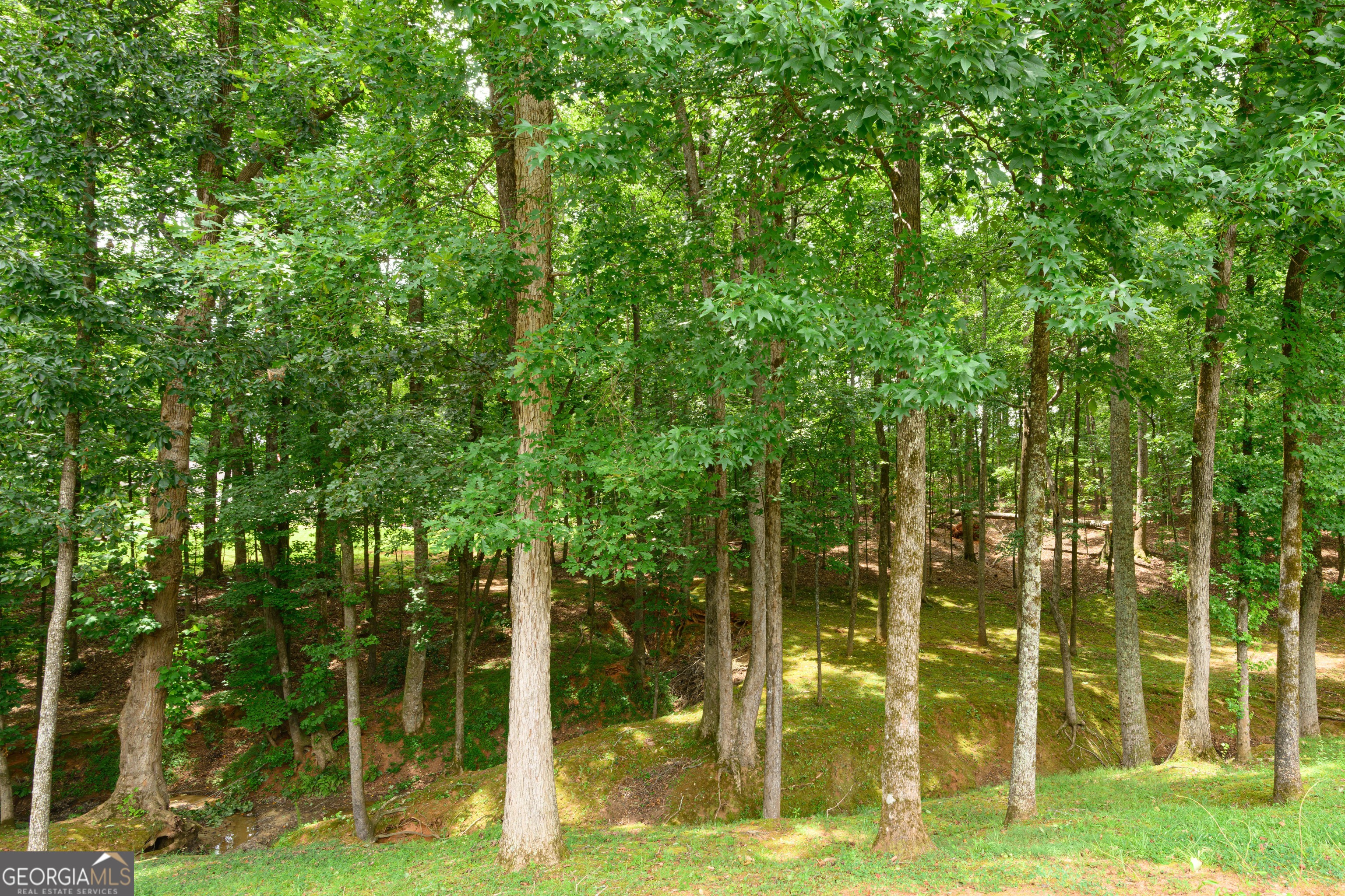 187 Cedar Ridge Road Property Photo 36