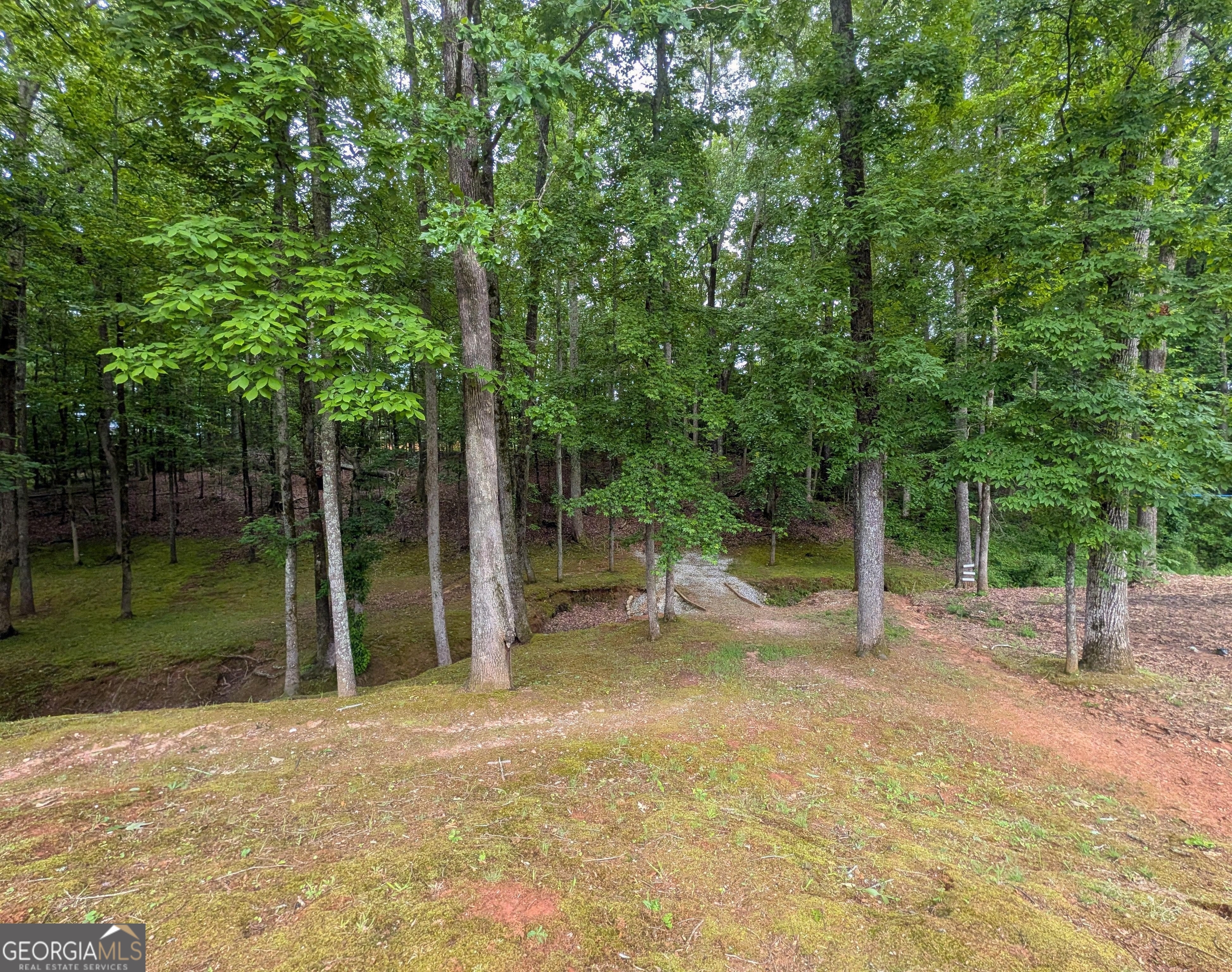 187 Cedar Ridge Road Property Photo 37