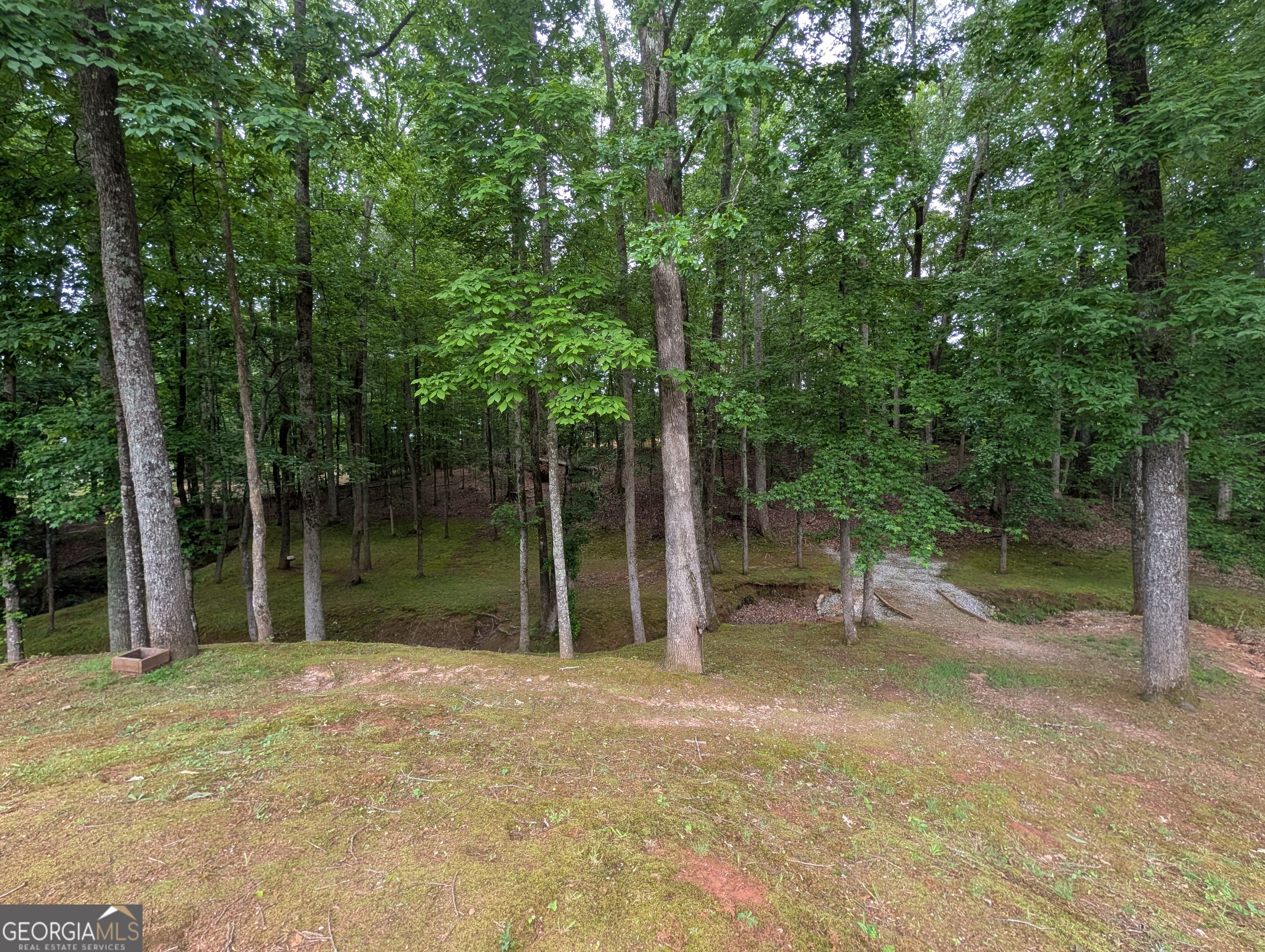 187 Cedar Ridge Road Property Photo 38