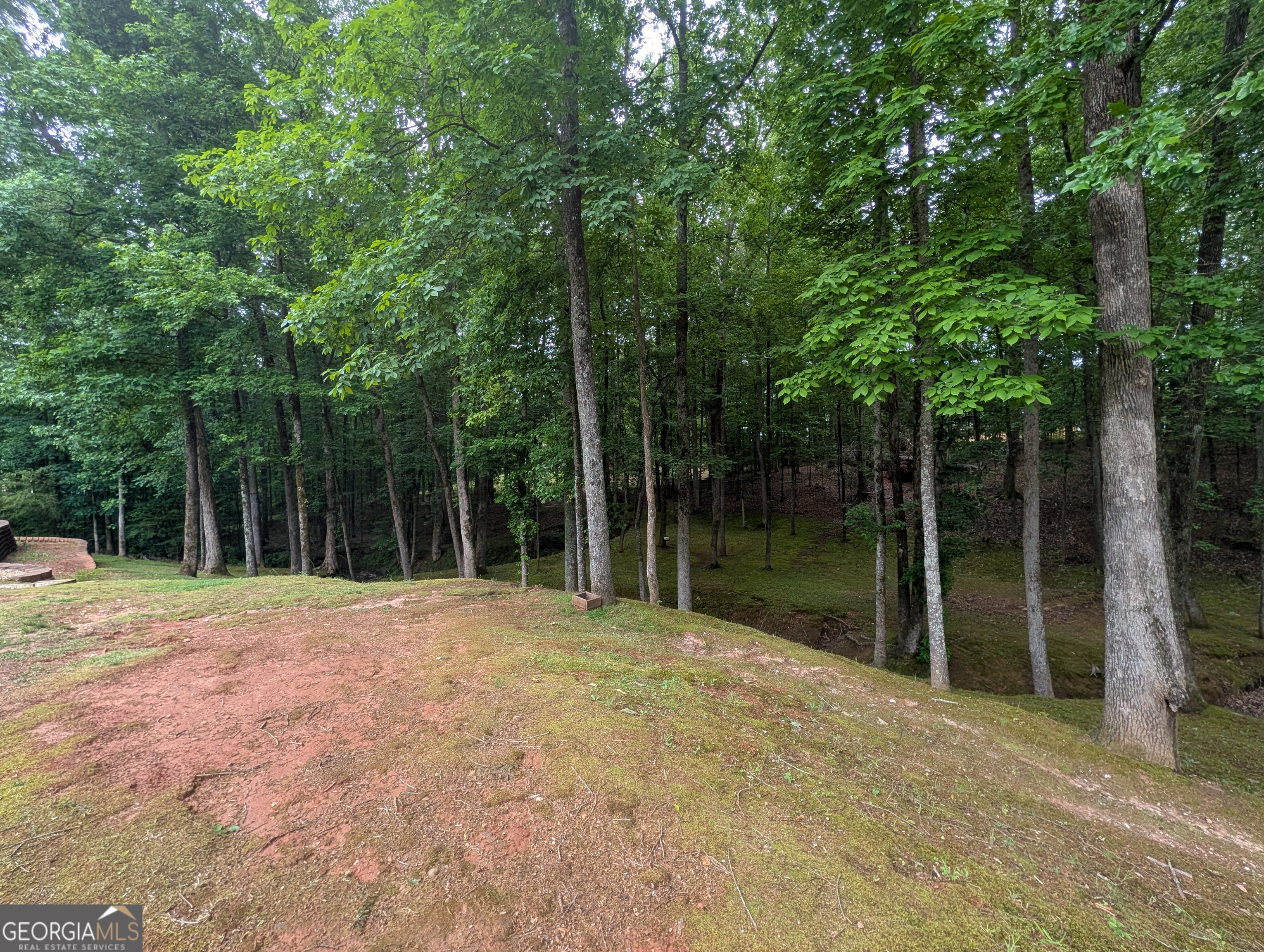 187 Cedar Ridge Road Property Photo 39