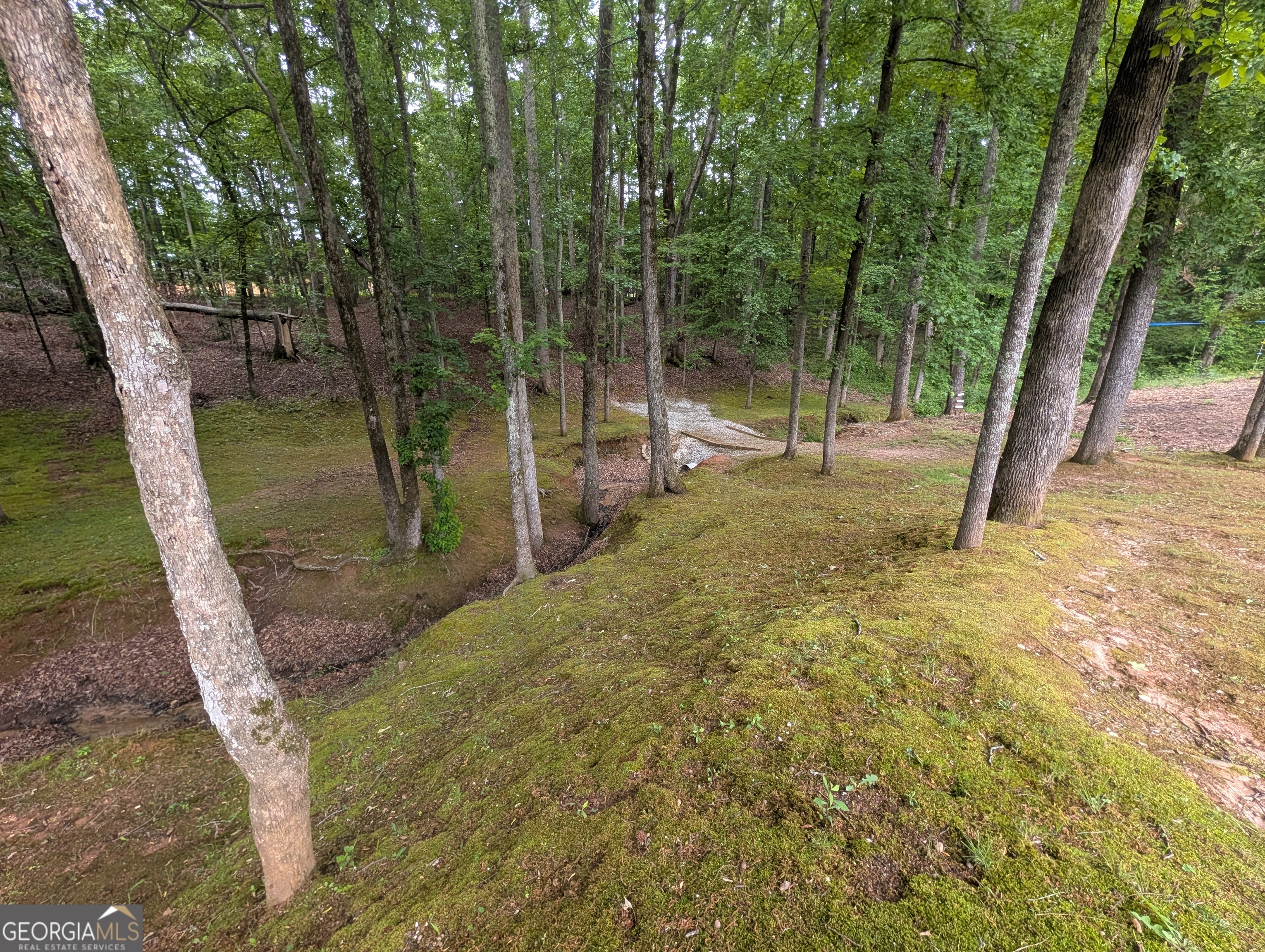 187 Cedar Ridge Road Property Photo 42
