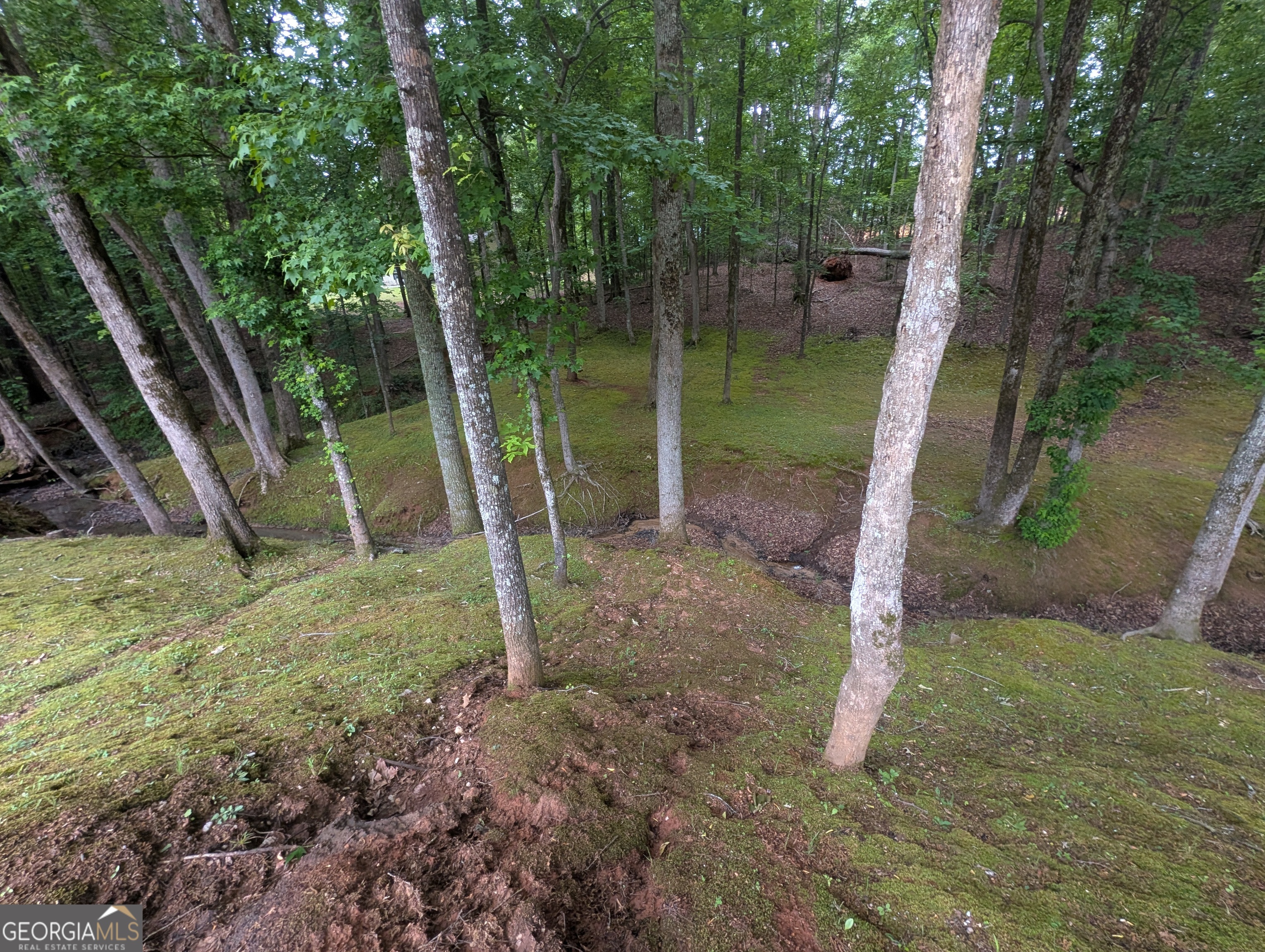 187 Cedar Ridge Road Property Photo 43