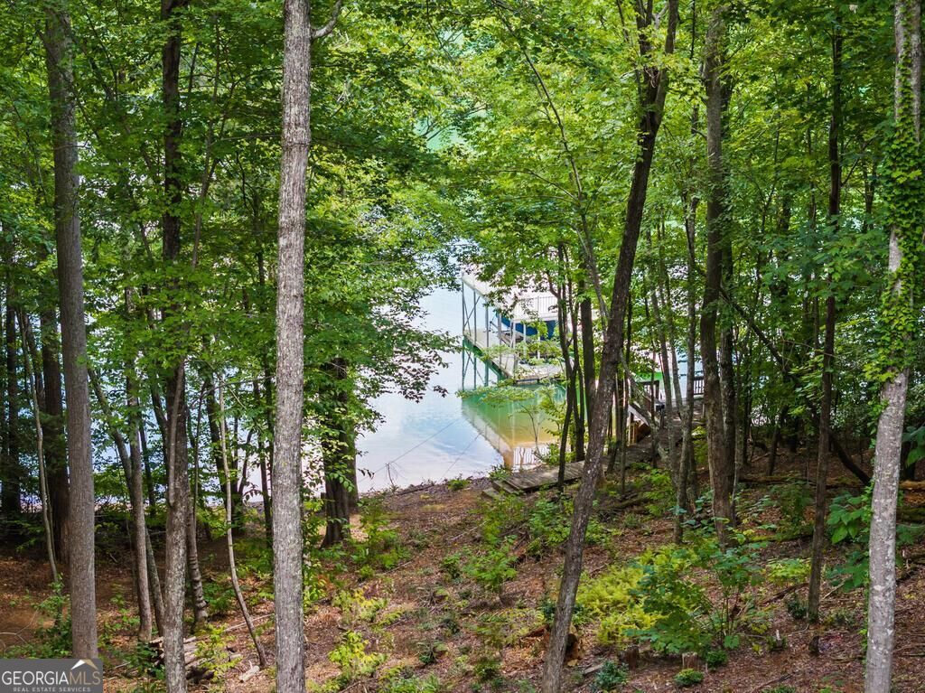 281 Pine Cone Road Property Photo 42