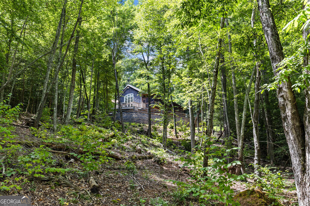 281 Pine Cone Road Property Photo 62
