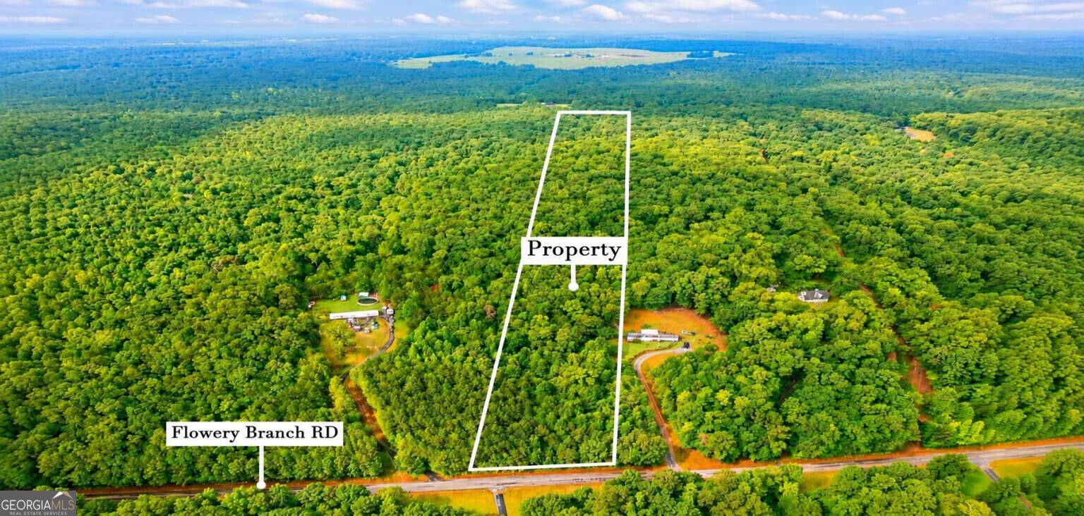 Lot 1 Flowery Branch Road Property Photo 1