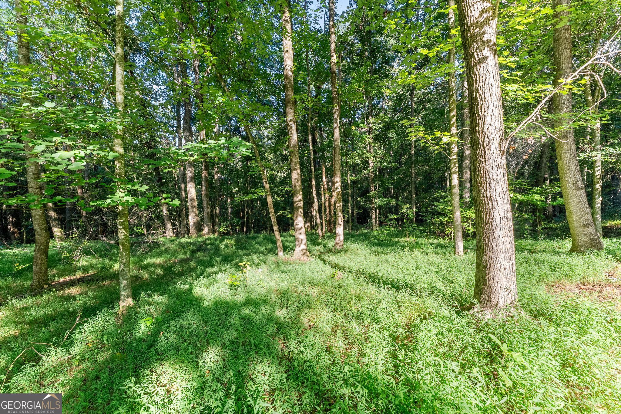 937 Sam Craven Road Property Photo 26