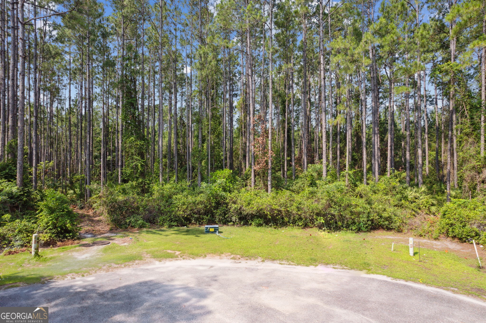 116 Wild Horse Court Property Photo 2