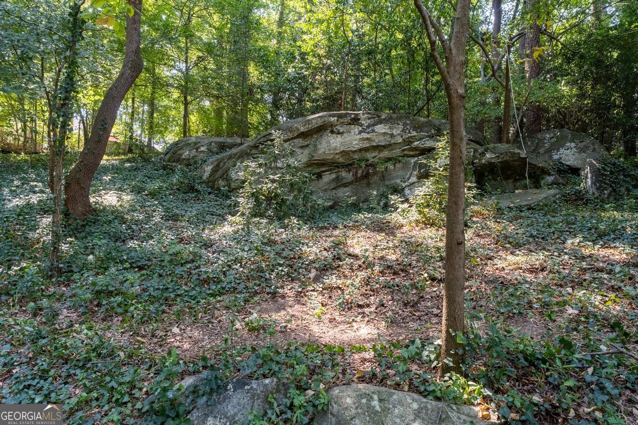 2245 Winding Woods Drive Property Photo 42