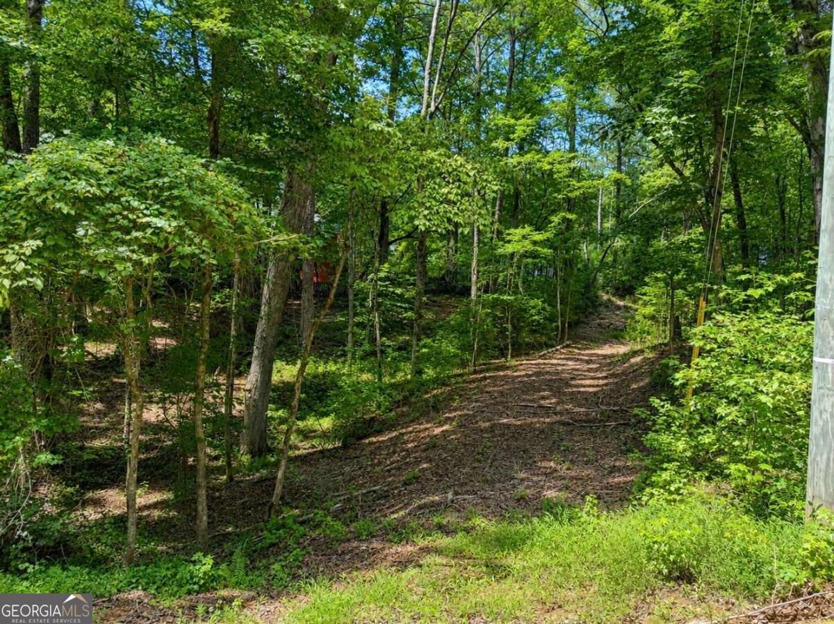 6195 Belle Meade Drive Property Photo 1