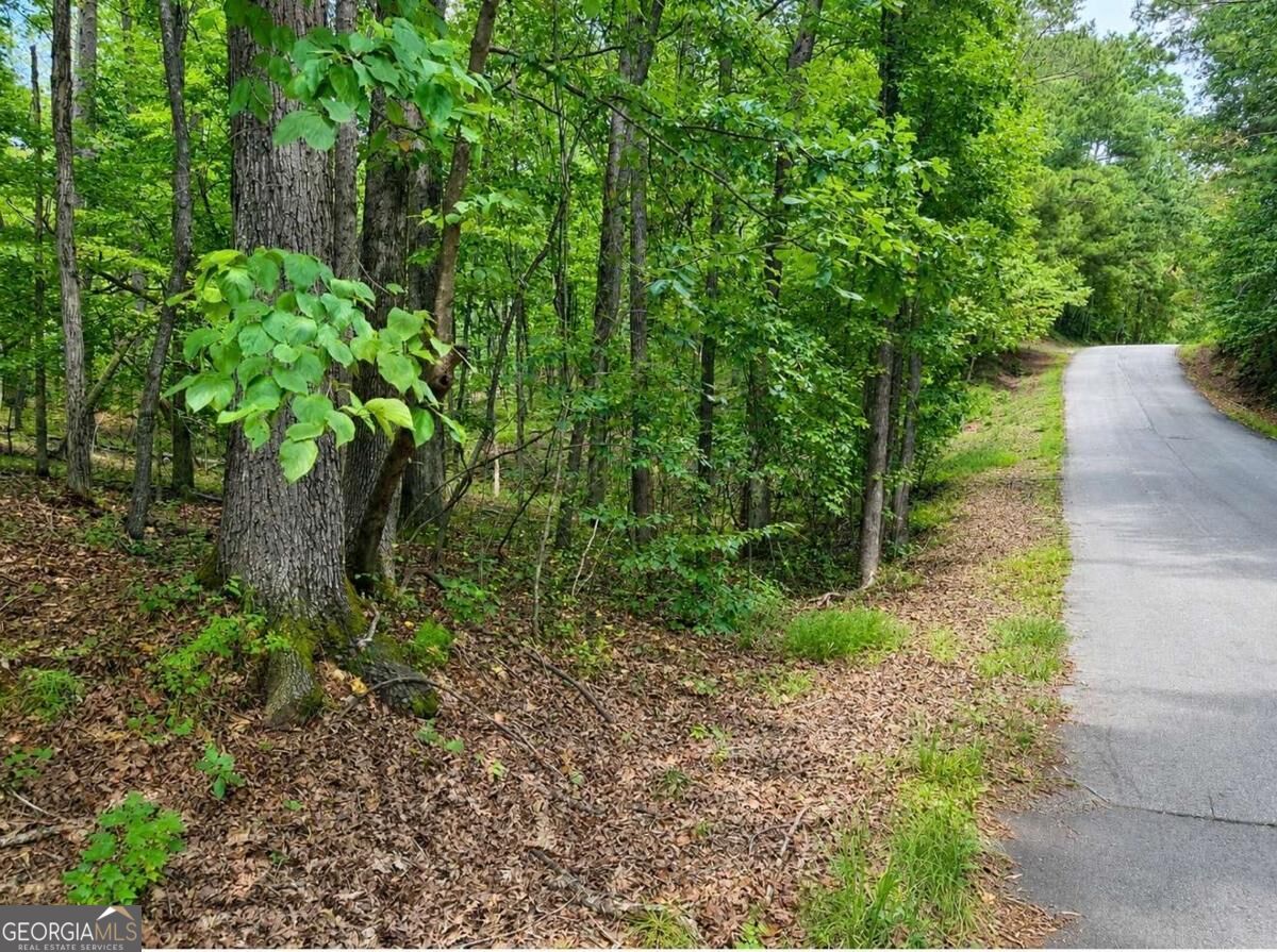 6195 Belle Meade Drive Property Photo 4