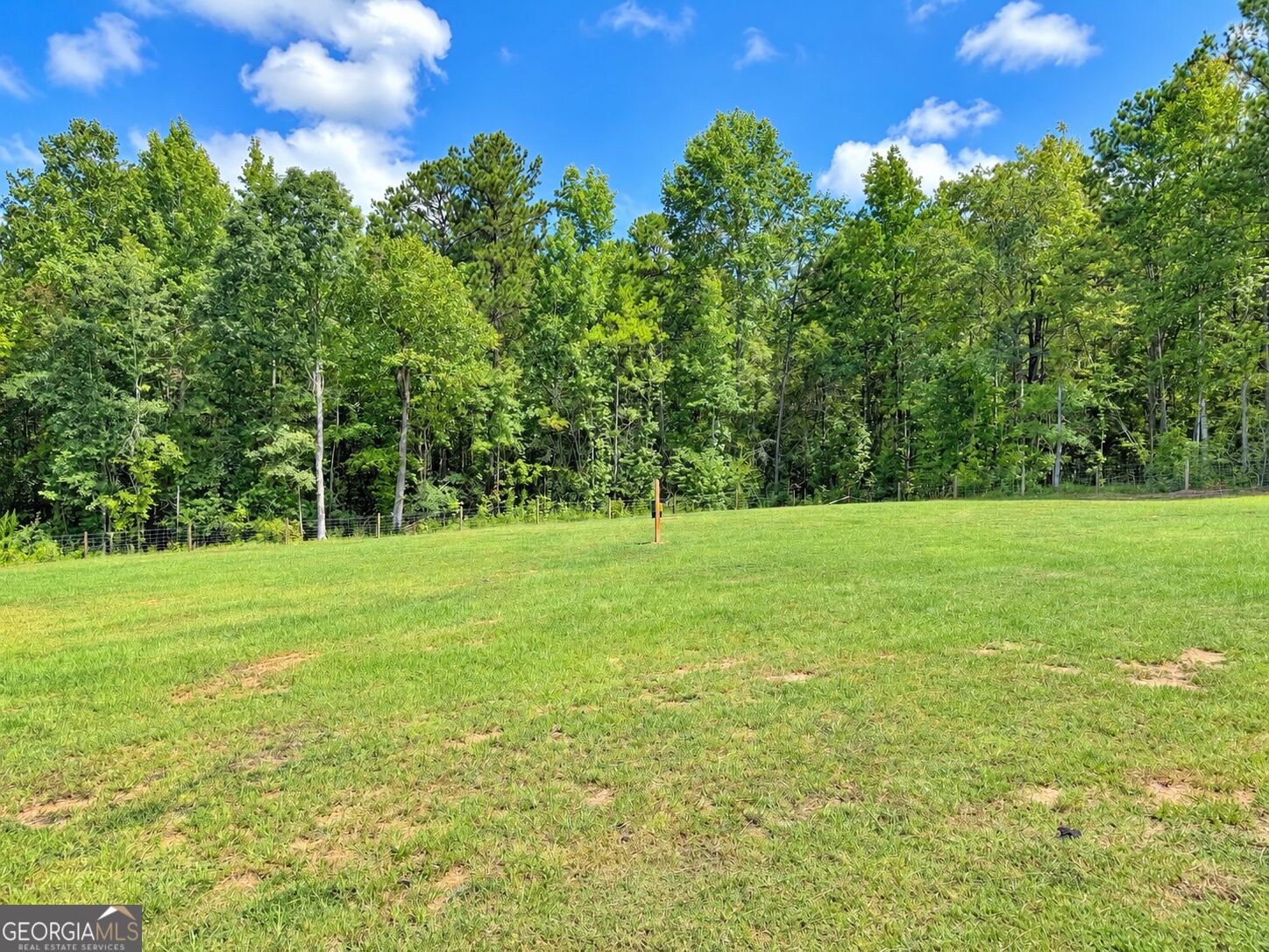 100 Spring Trail Property Photo 49