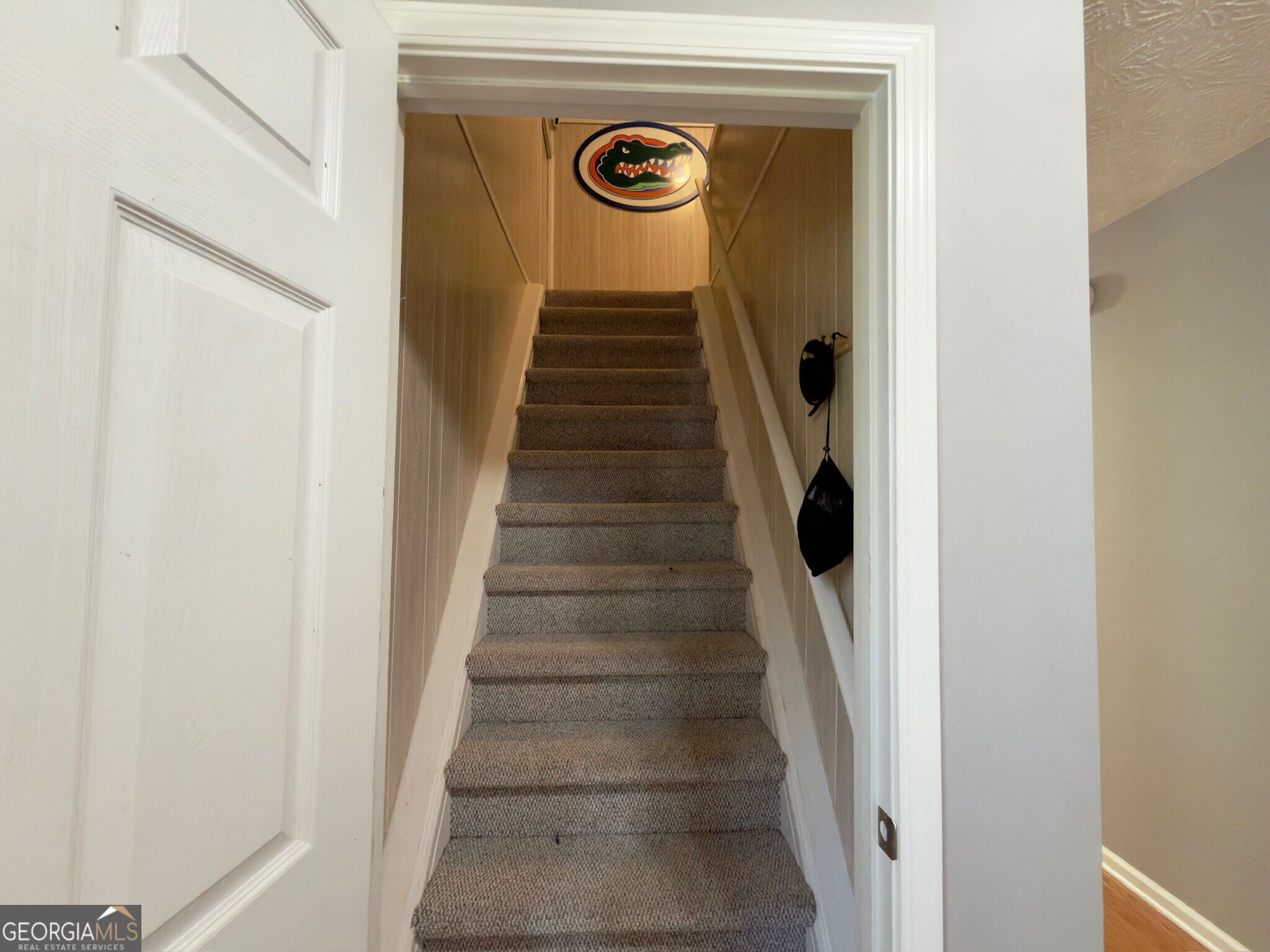 465 Ram Drive Property Photo 3