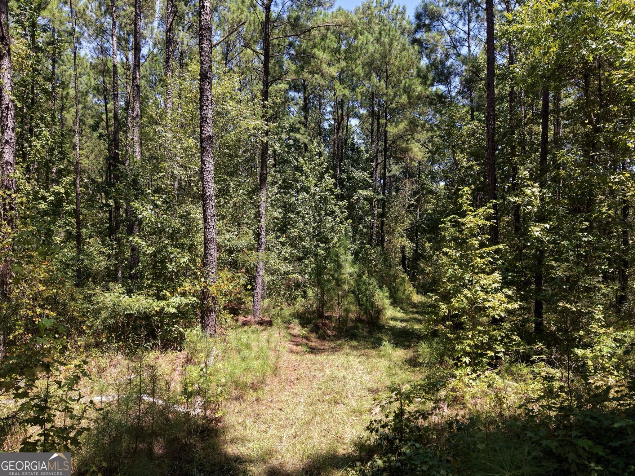 277 Pettigrew Road Nw Property Photo 36