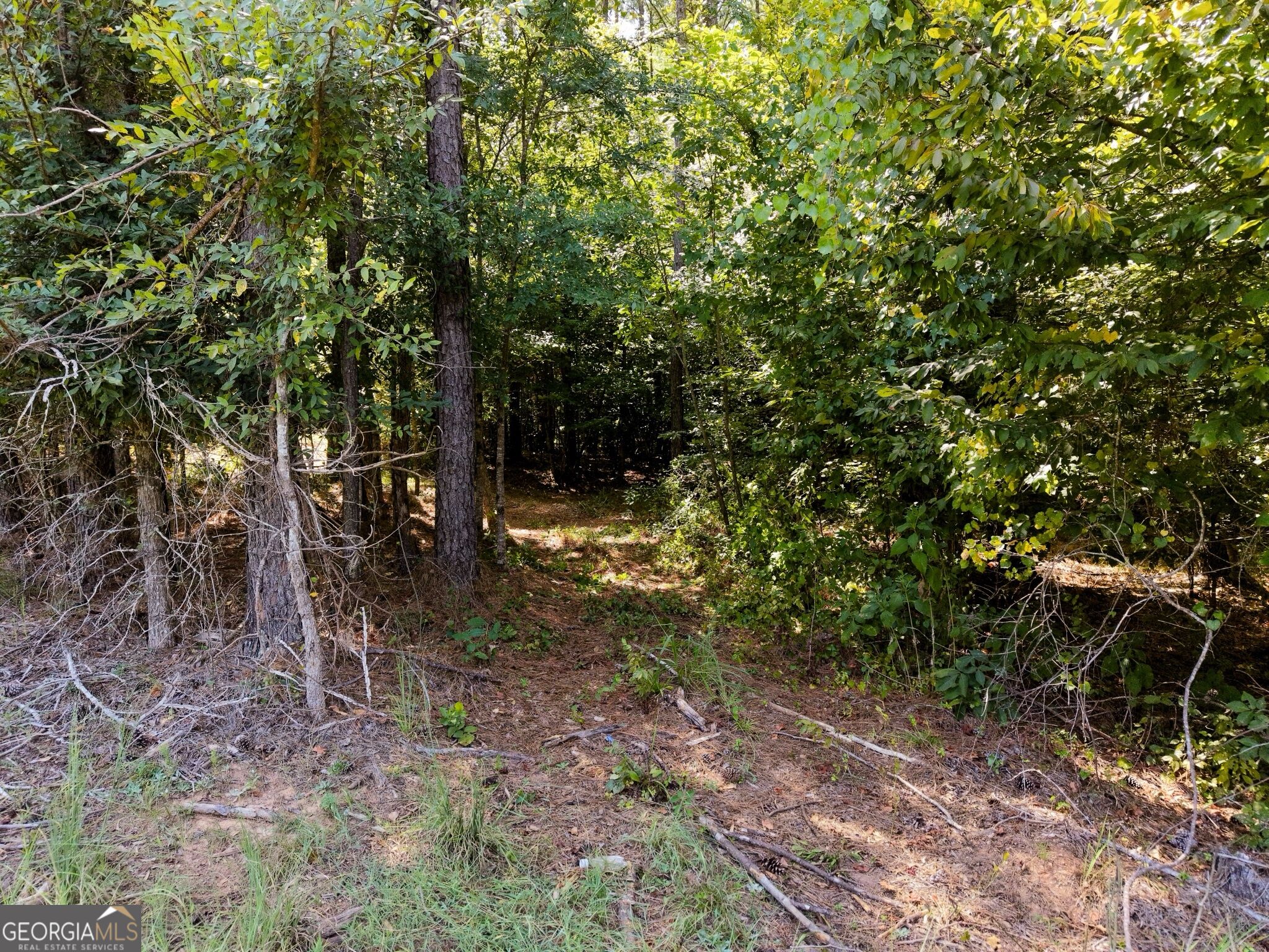 277 Pettigrew Road Nw Property Photo 43