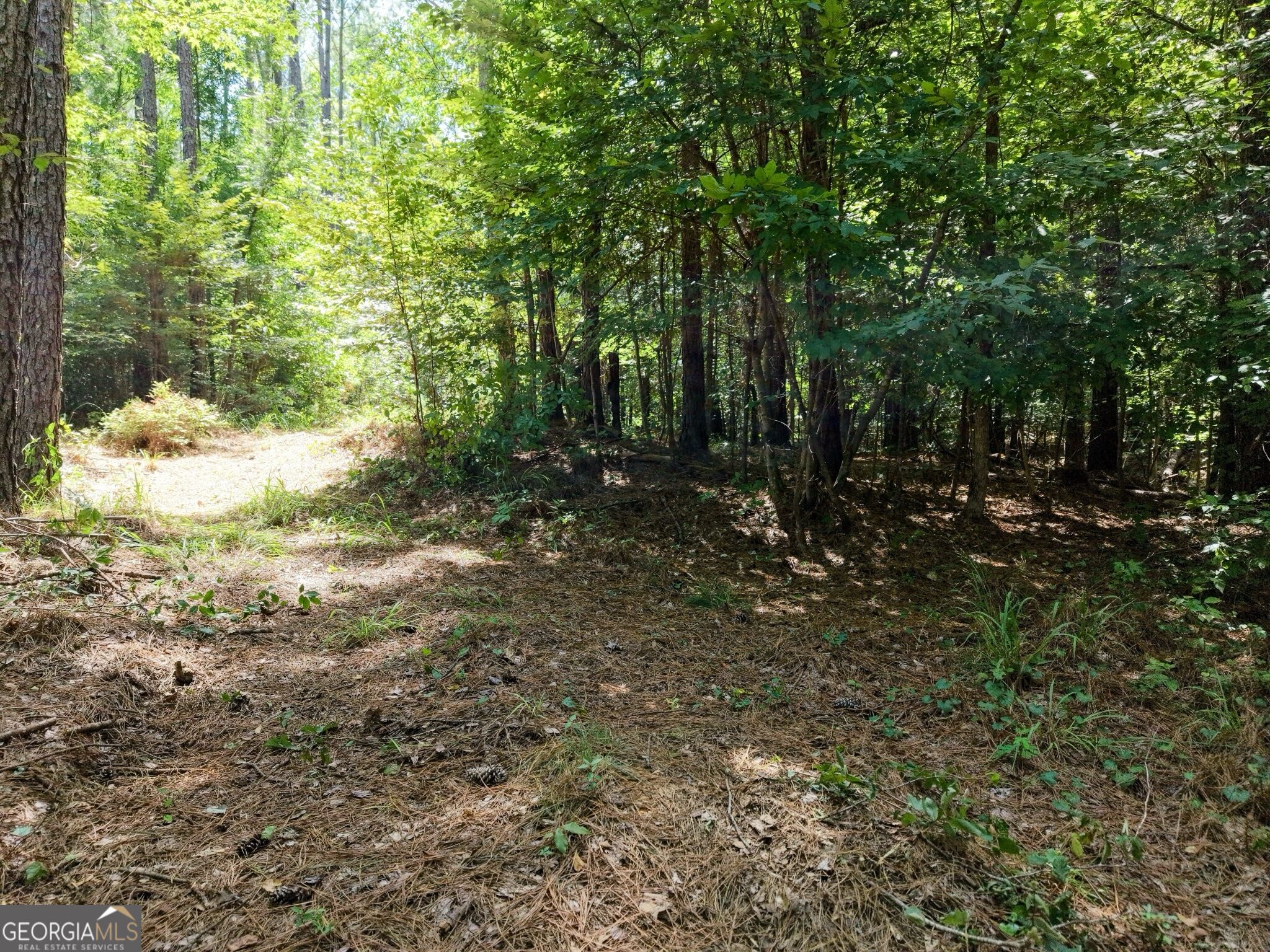 277 Pettigrew Road Nw Property Photo 45