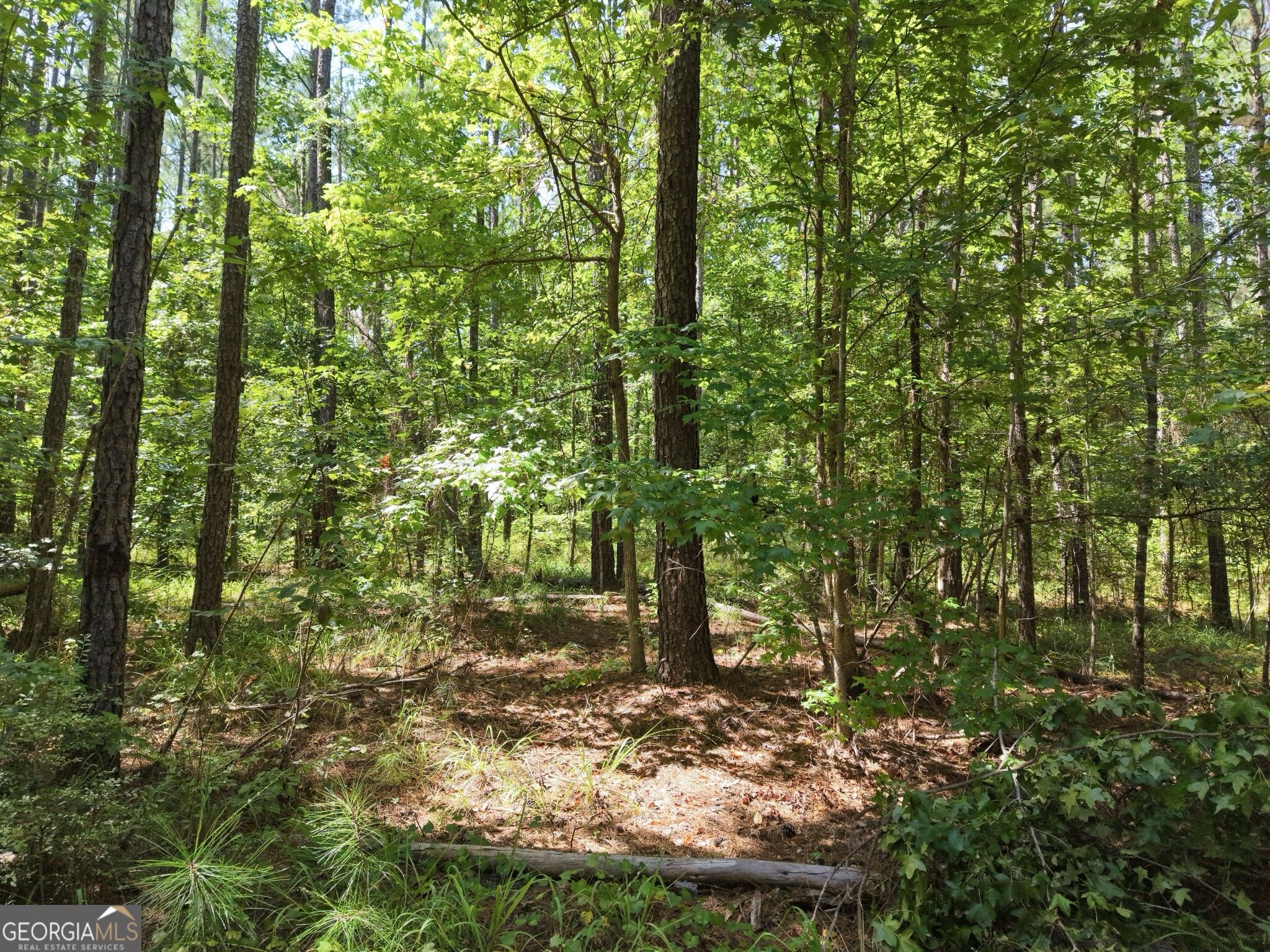 277 Pettigrew Road Nw Property Photo 49