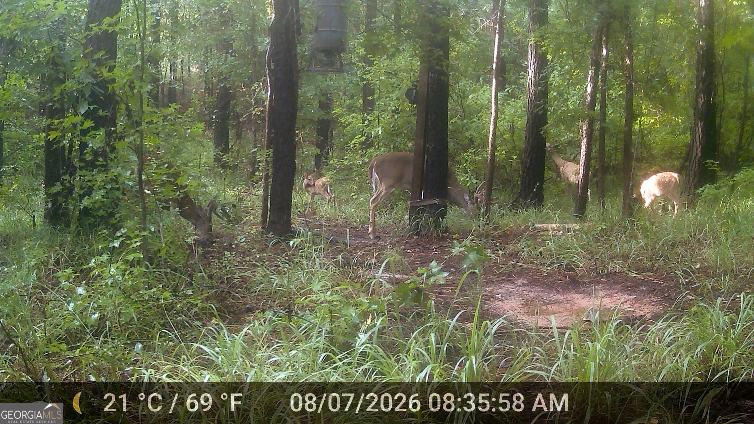 277 Pettigrew Road Nw Property Photo 51