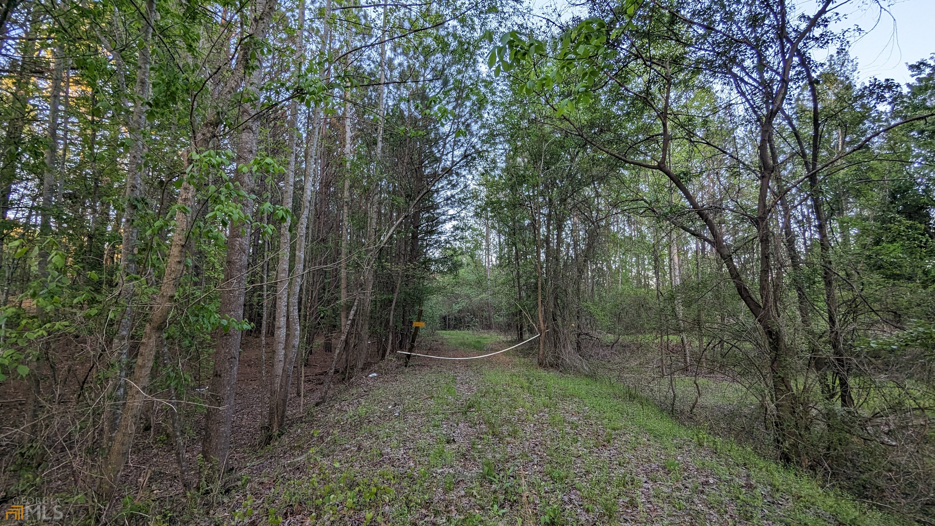 7490 Butner Road Property Photo 5