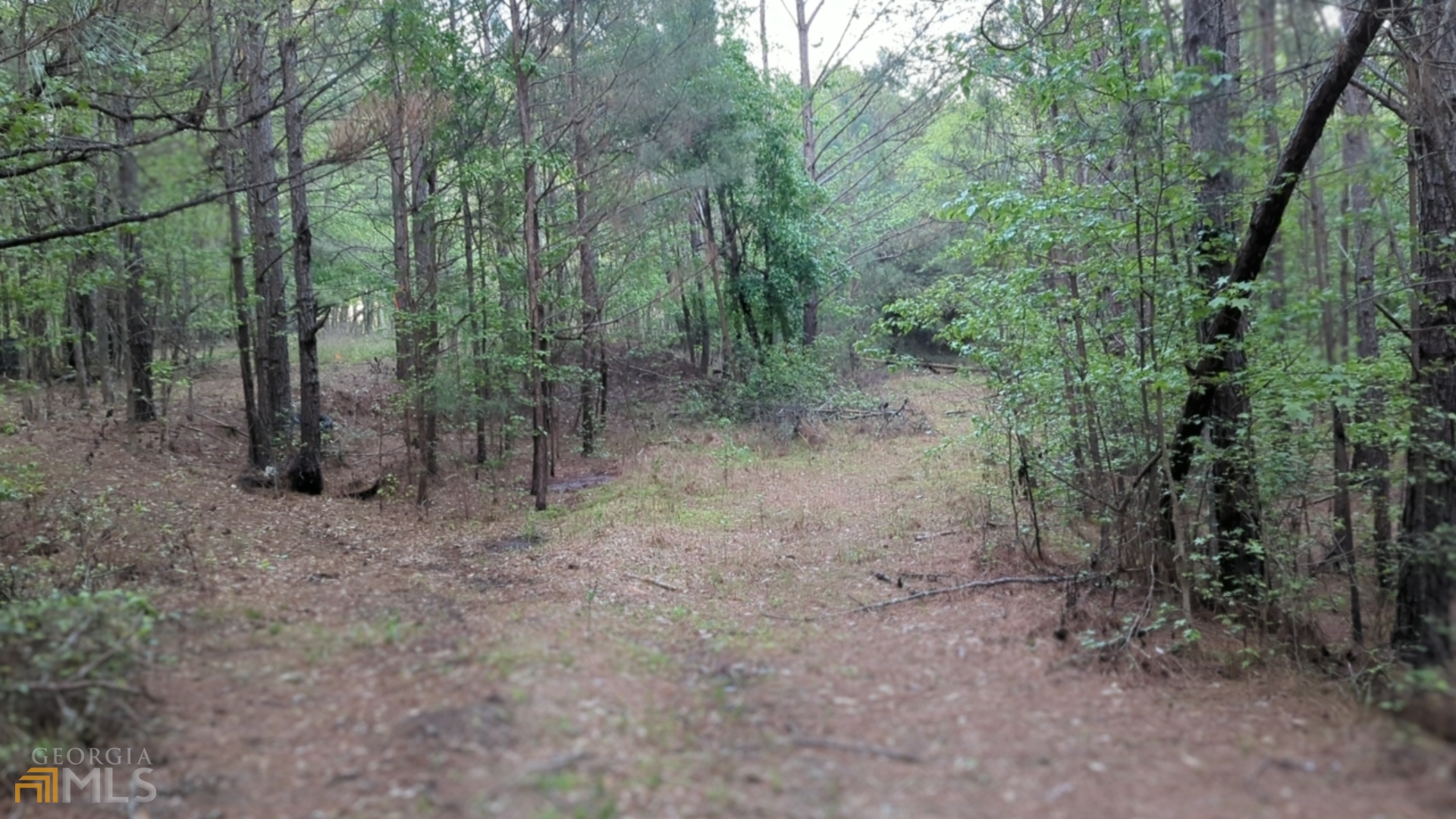 7490 Butner Road Property Photo 7