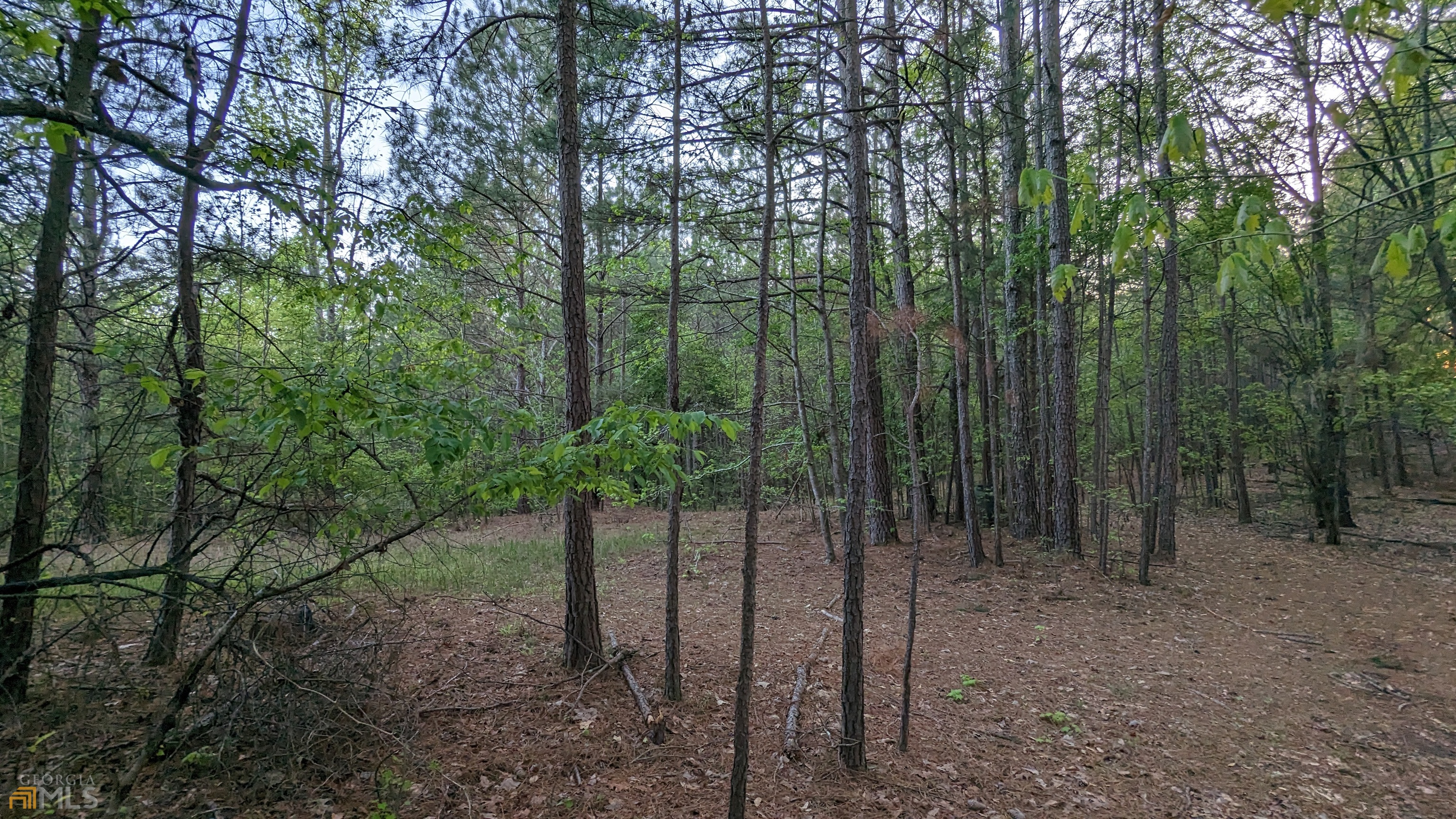 7490 Butner Road Property Photo 8