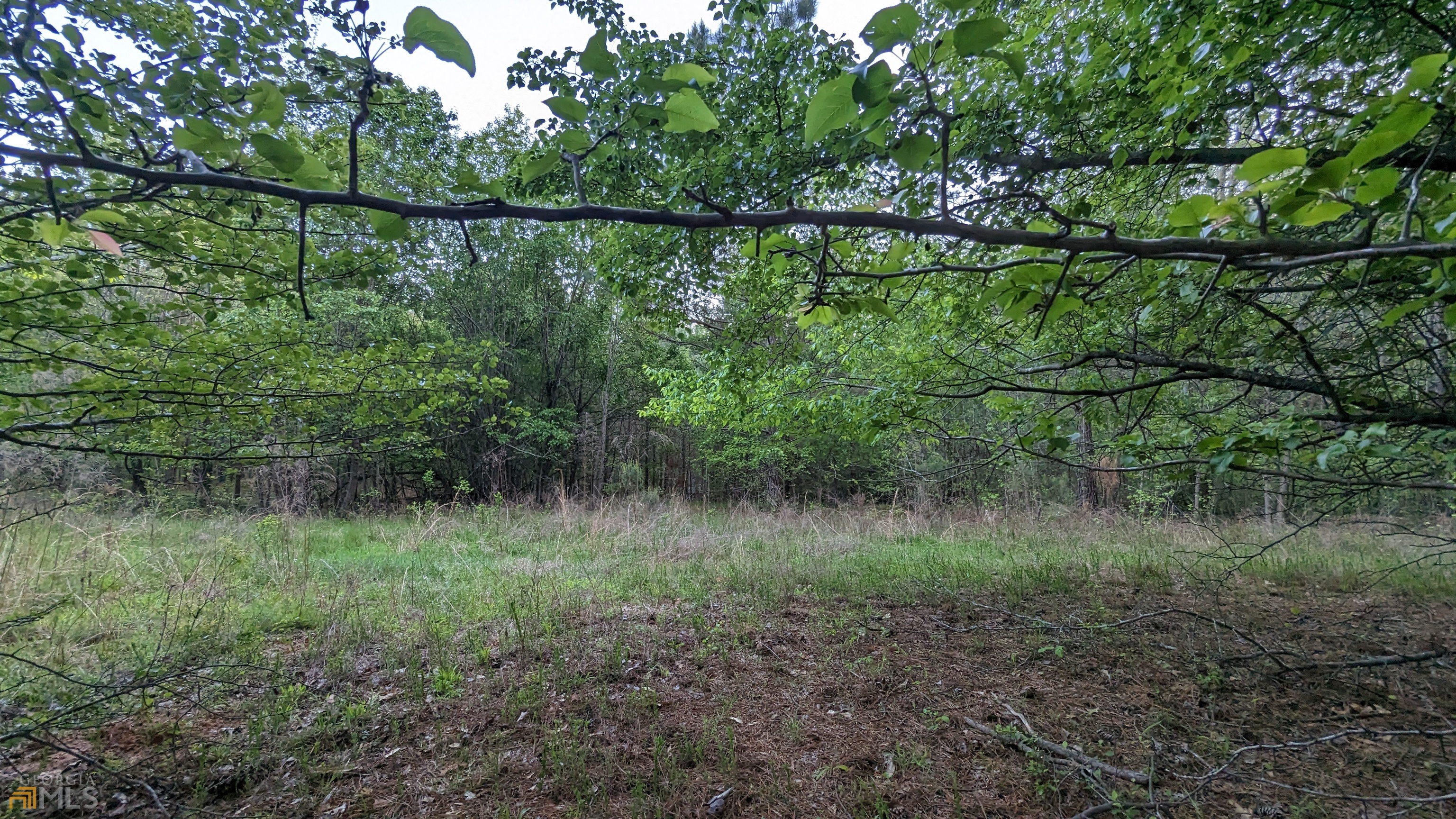 7490 Butner Road Property Photo 9