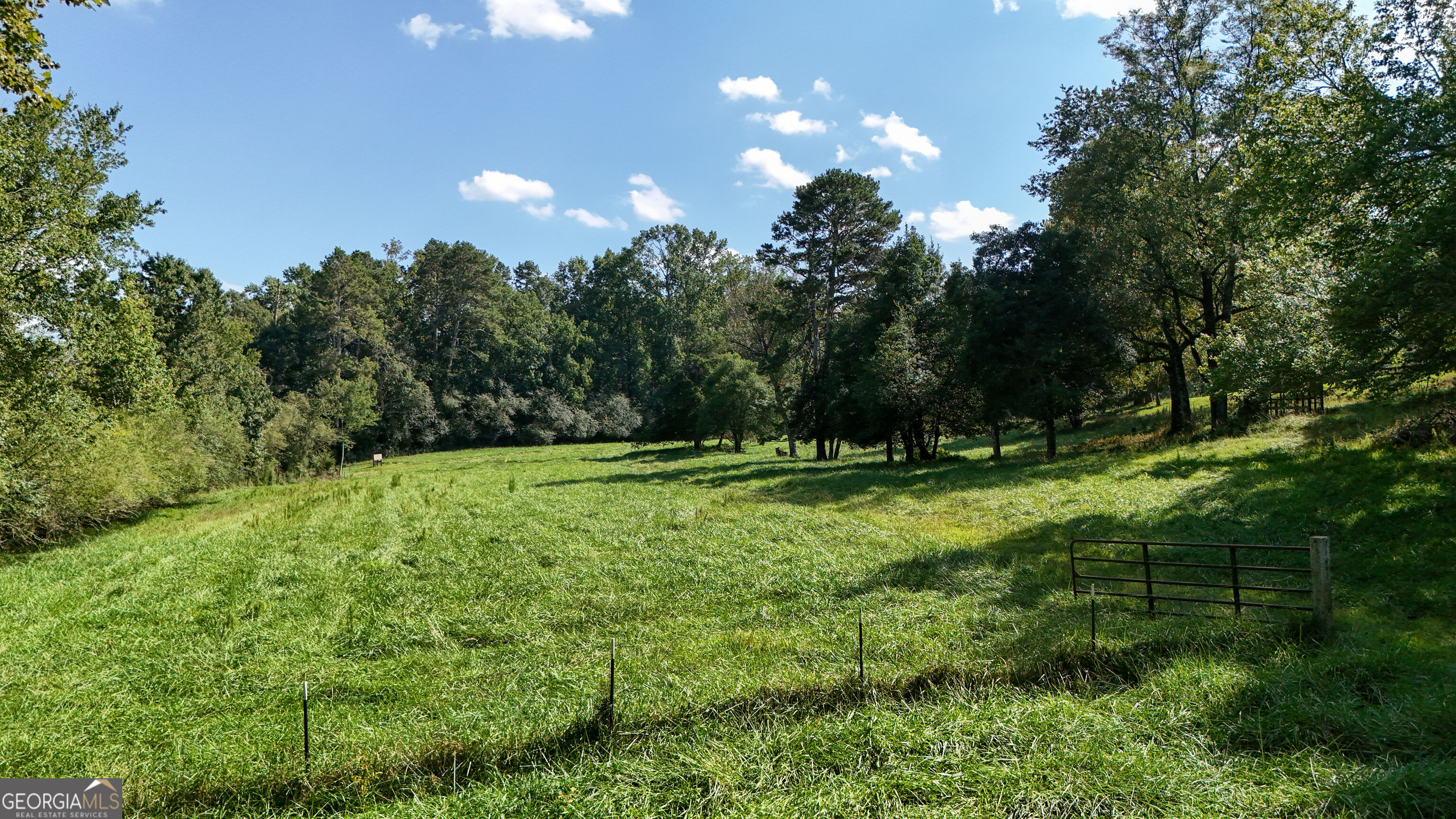 448 Dixie Meadow Lane Property Photo 50