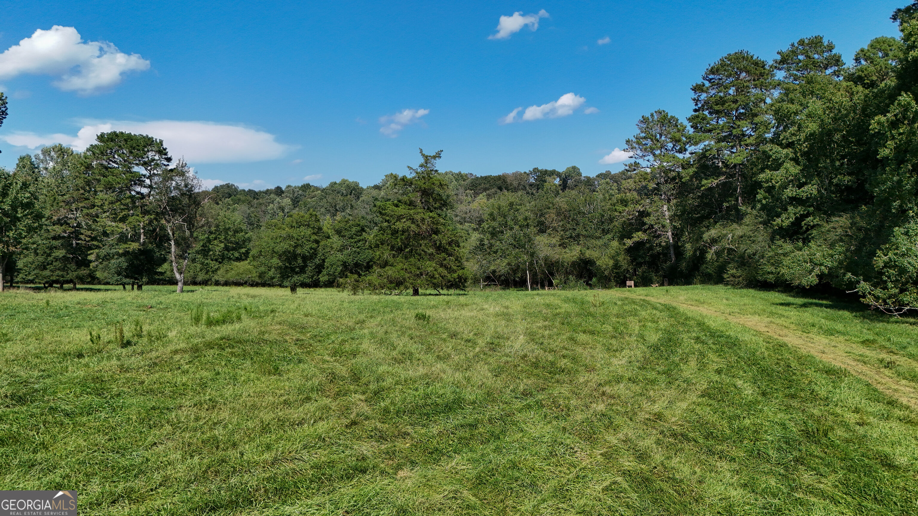 448 Dixie Meadow Lane Property Photo 56