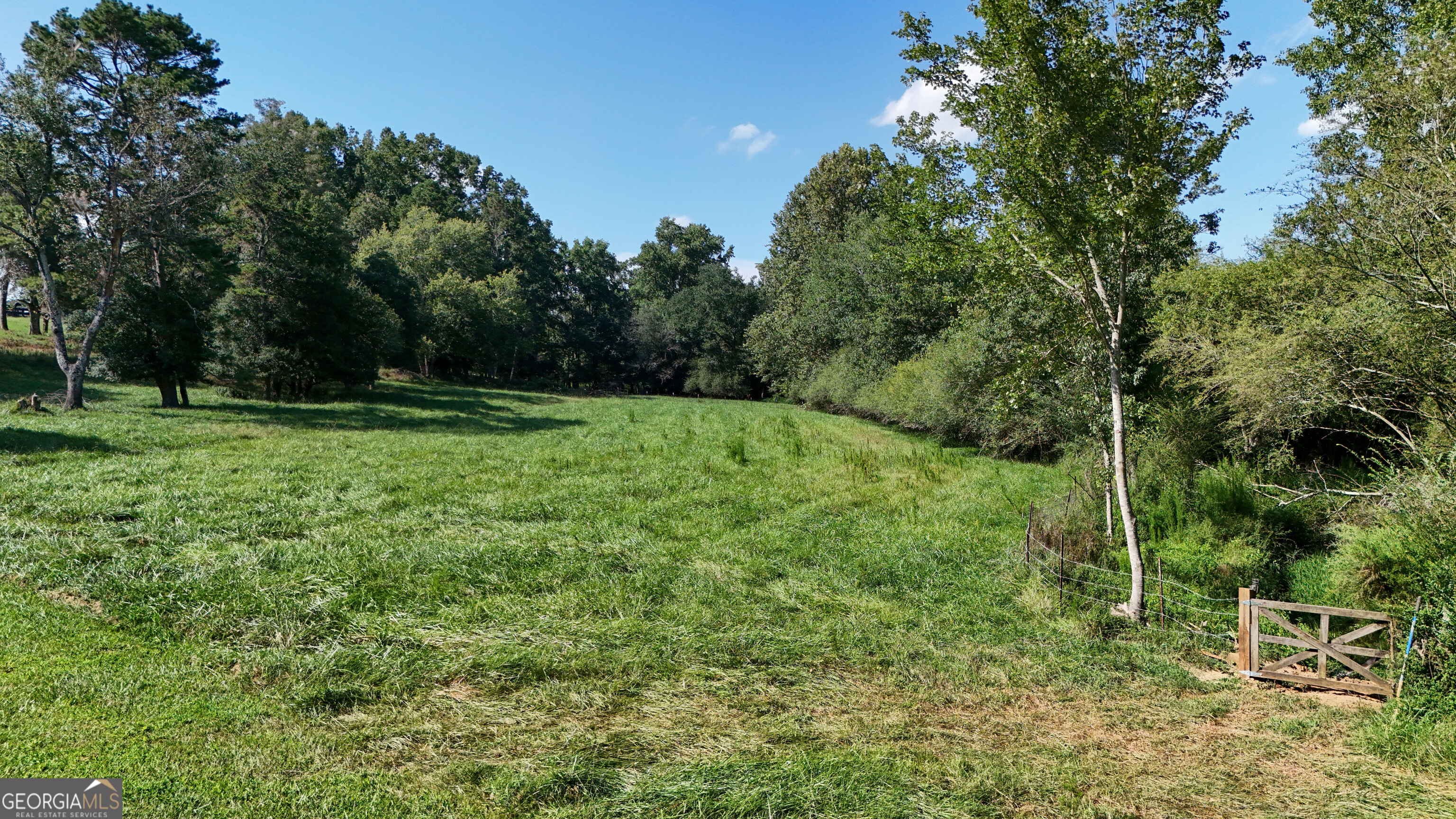 448 Dixie Meadow Lane Property Photo 58