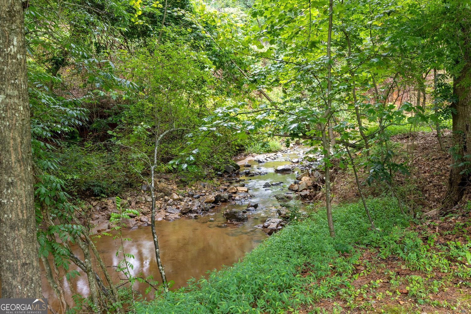 1921 Lilburn Stone Mountain Road Property Photo 54