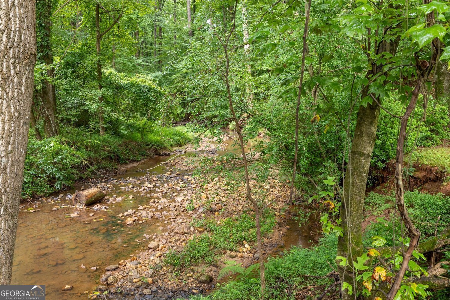 1921 Lilburn Stone Mountain Road Property Photo 55
