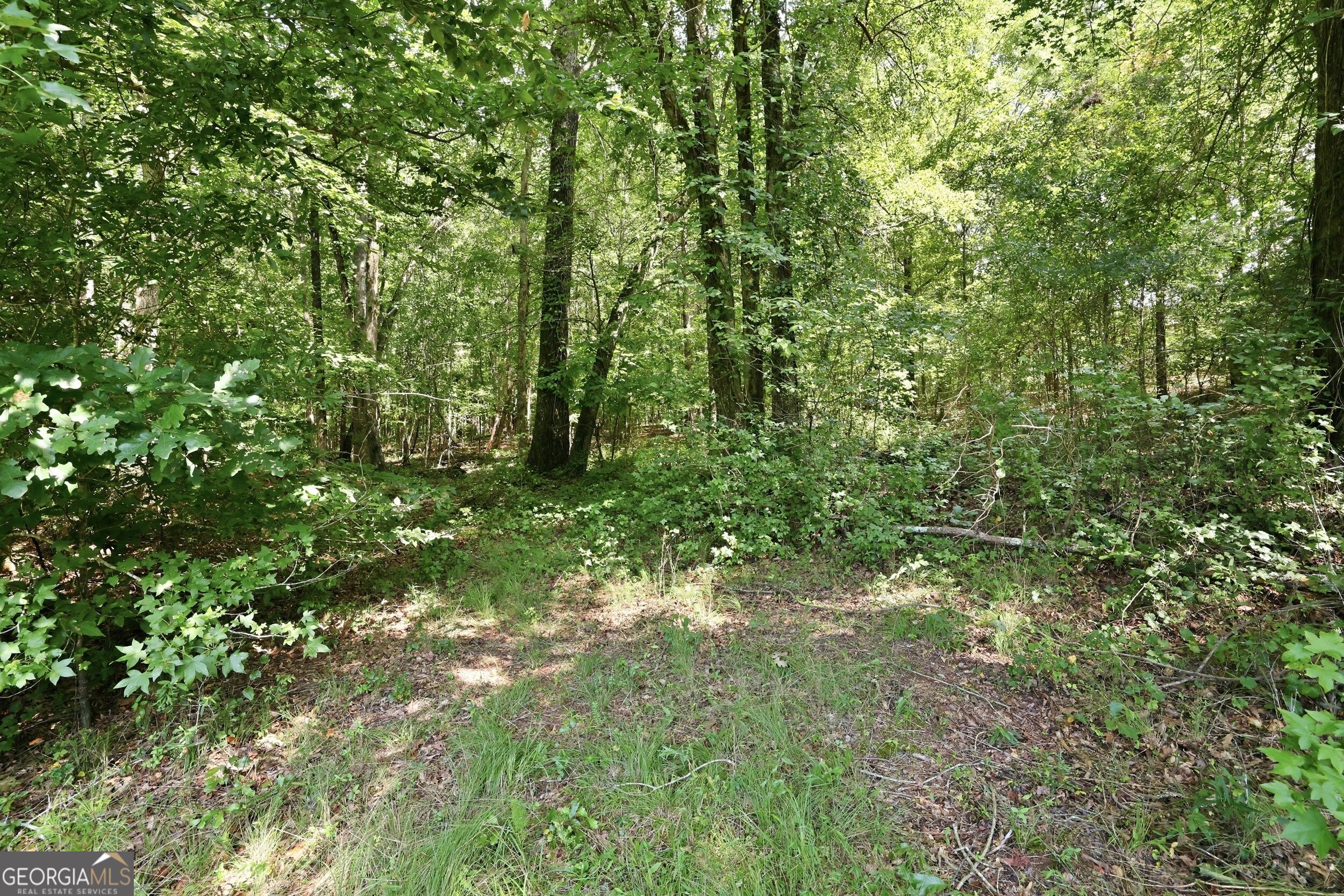 4829 Old Pendergrass Road Property Photo 10