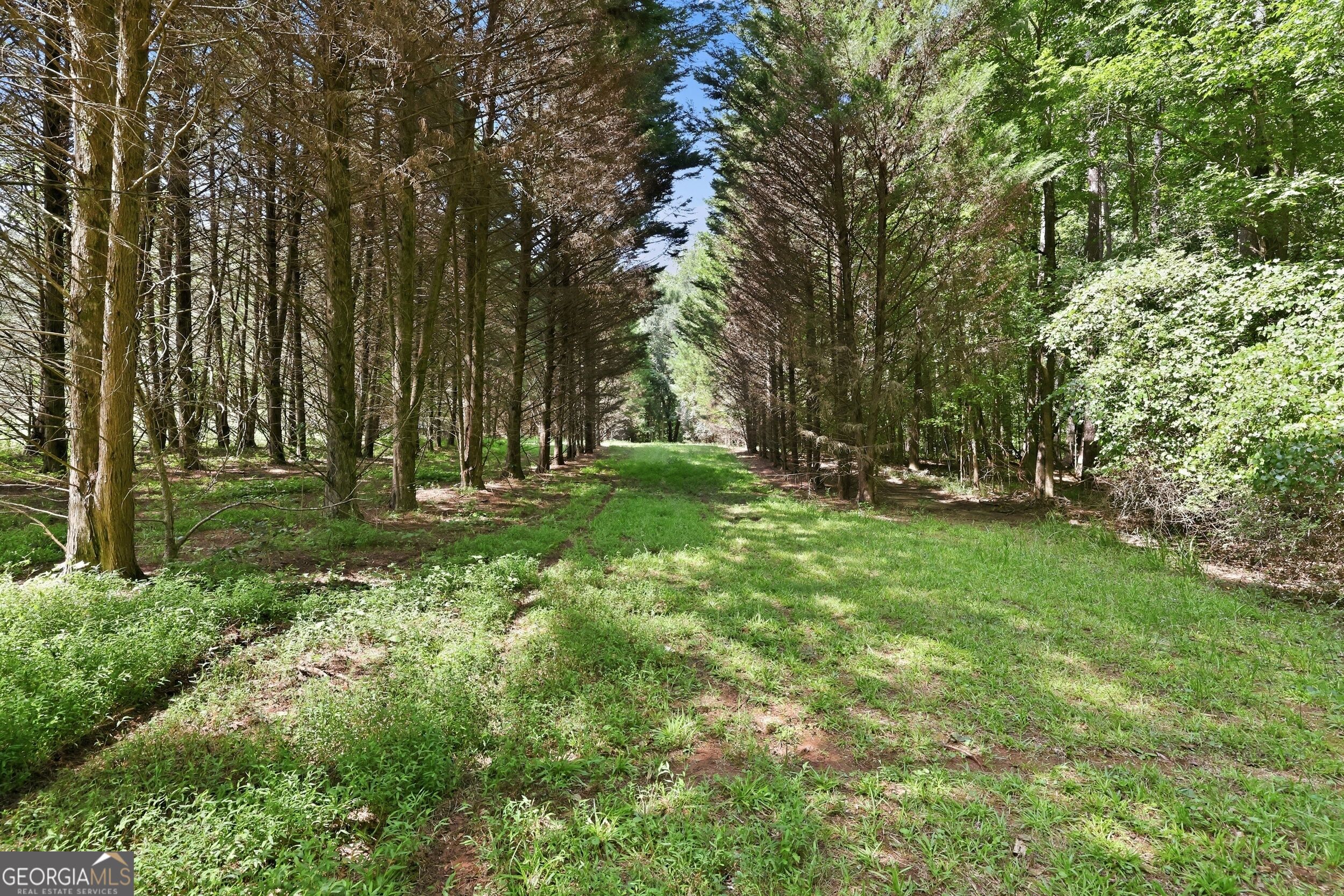 4829 Old Pendergrass Road Property Photo 12