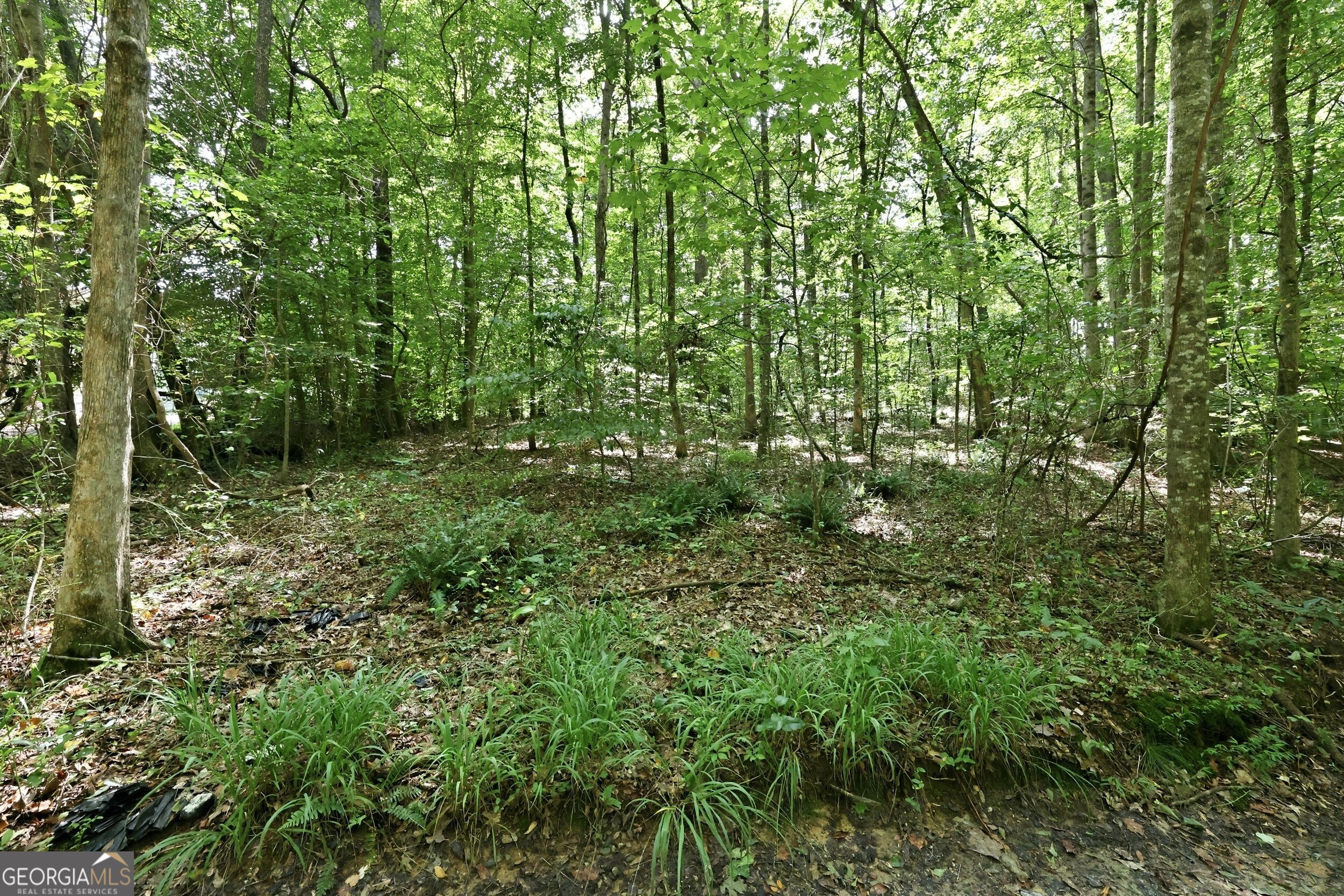 4829 Old Pendergrass Road Property Photo 14