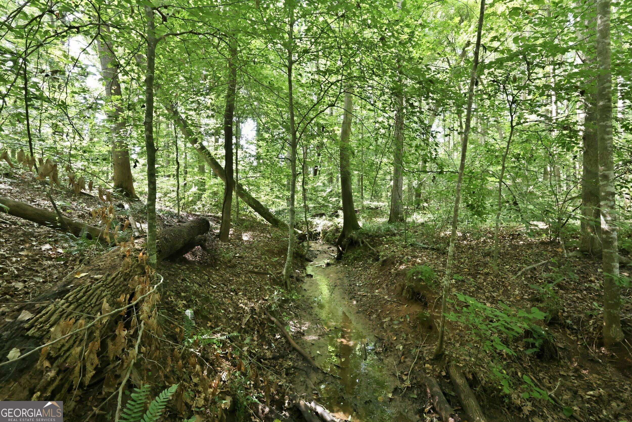 4829 Old Pendergrass Road Property Photo 18