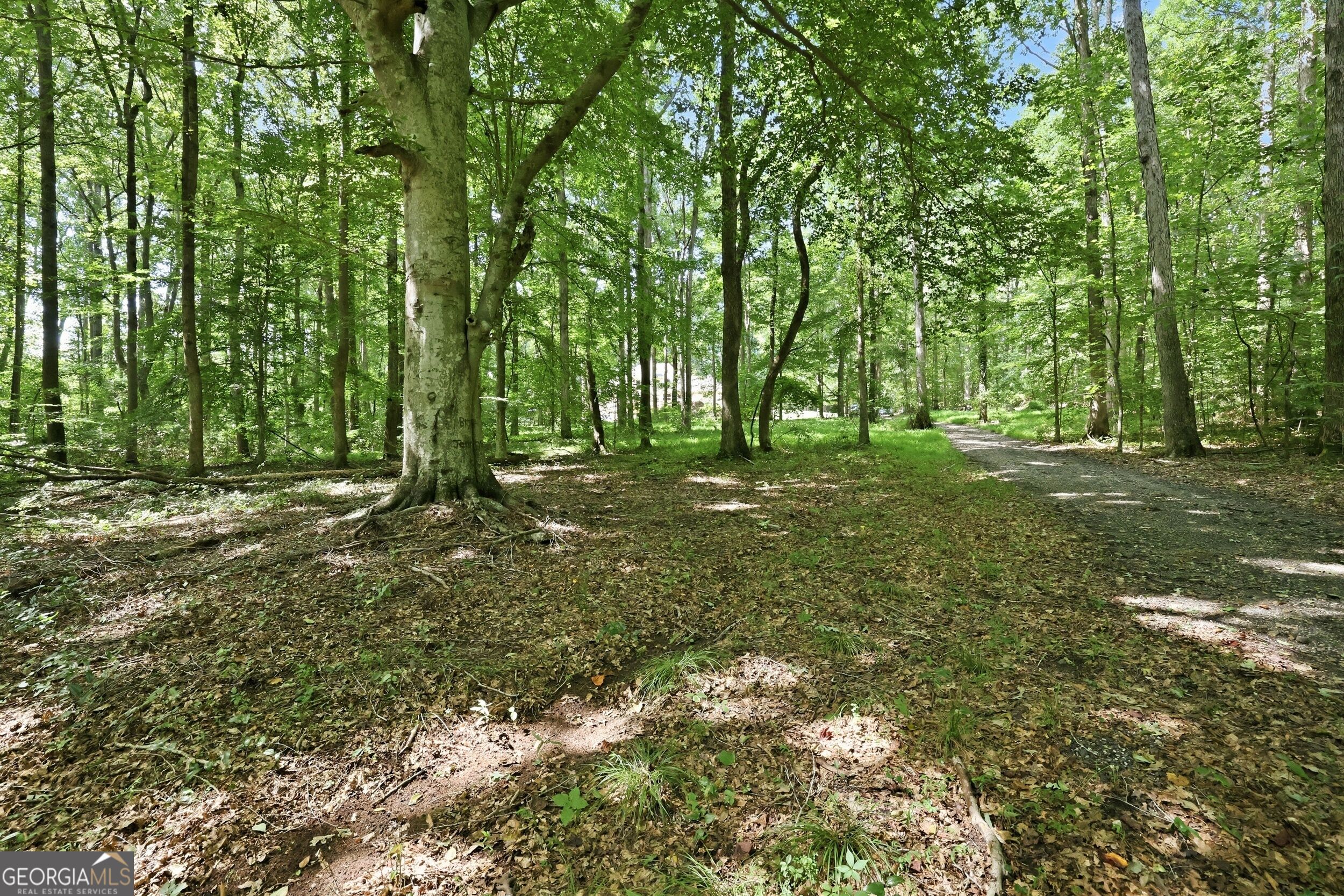4829 Old Pendergrass Road Property Photo 19