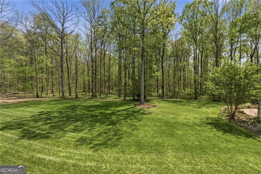 4829 Old Pendergrass Road Property Photo 114