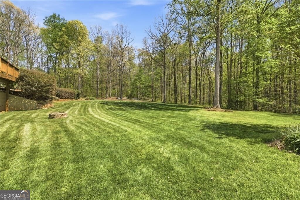4829 Old Pendergrass Road Property Photo 115