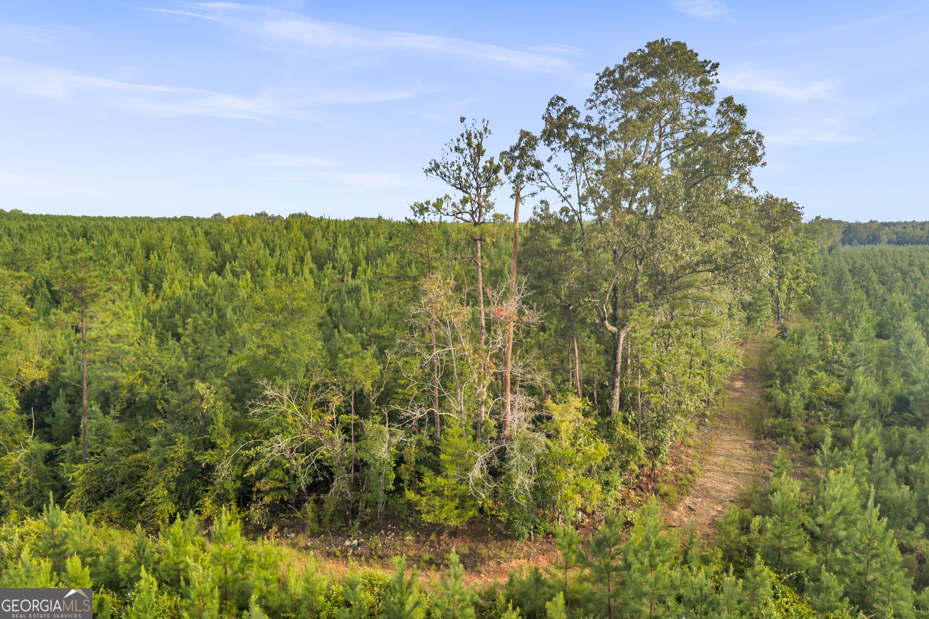 235 Mount Hebron Road Property Photo 52