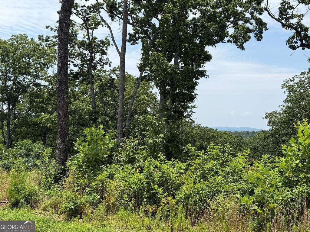 LOT 93 Timberline Trail # 93